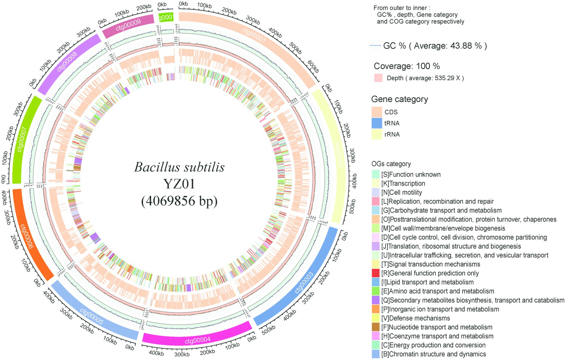 Circular genome map of Bacillus subtilis YZ01, displaying a sequence length of 4,069,856 base pairs. The map features concentric rings indicating GC content, coverage, and gene categories like CDS, tRNA, and rRNA. Outer labels specify genomic segments with distinct colors. A legend explains gene categories and OGs functions, such as transcription and cell motility. Average GC content is 43.88%, with 100% coverage.