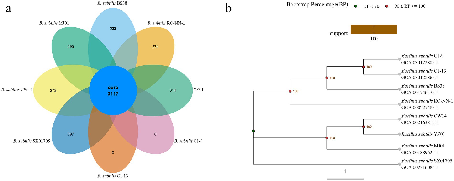Panel a displays a Venn diagram showing the distribution of genes among seven Bacillus subtilis strains, with a core genome of three thousand one hundred seventeen genes highlighted at the center. Panel b presents a phylogenetic tree, illustrating the evolutionary relationships among the same Bacillus subtilis strains. Bootstrap percentages, indicating branch support, are marked by colored dots, with green for support below seventy and red for support between ninety and one hundred.
