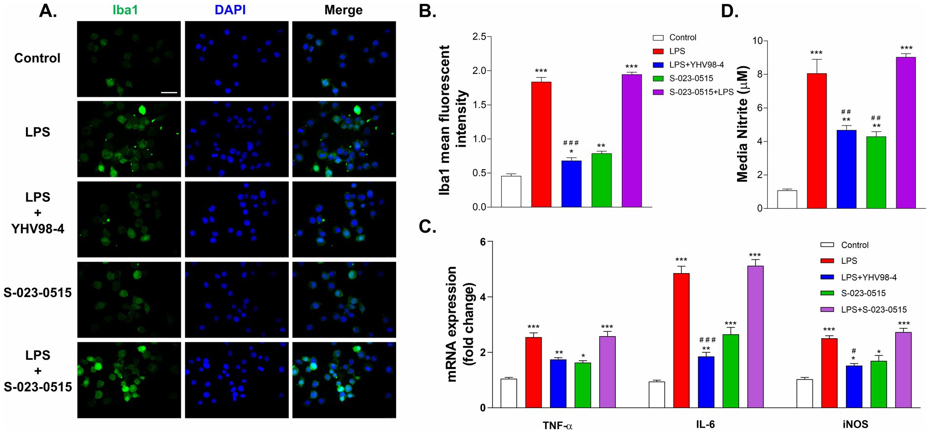 Panel A shows fluorescent microscopy images of cells under different conditions: Control, LPS, LPS + YHV98.4, S-023-0515, and LPS + S-023-0515. Cells are stained with Iba1 in green and DAPI in blue. Panel B is a bar graph showing Iba1 mean fluorescent intensity, with LPS having the highest intensity. Panel C depicts mRNA expression changes for TNF-α, IL-6, and iNOS, with LPS showing increased expression. Panel D is a bar graph showing media nitrite concentration, where LPS has the highest level. Different colours indicates treatments under different conditions.