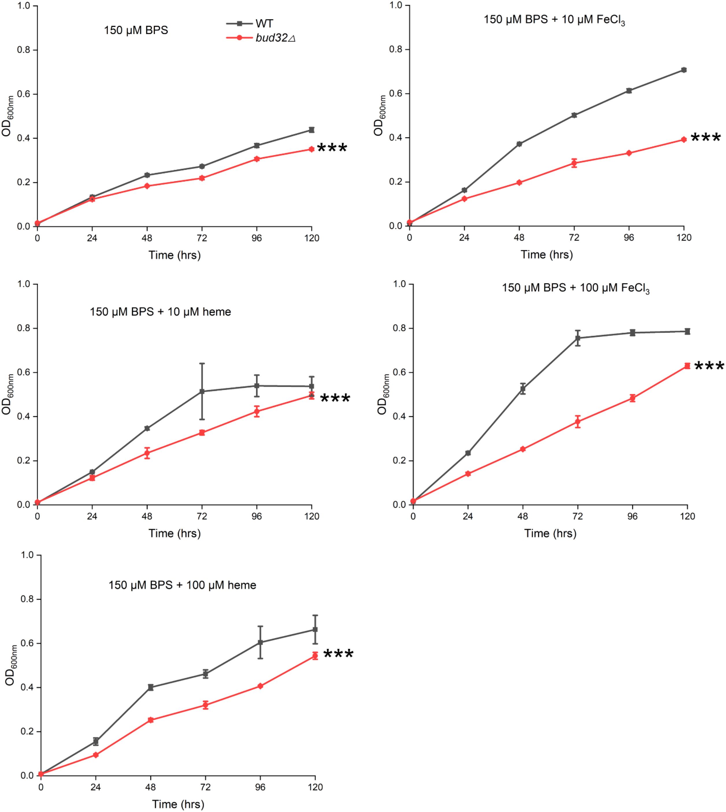 Line graphs compare the optical density at 600 nm (OD600nm) over 120 hours for WT and bud32Δ strains under four conditions: 150 µM BPS, 150 µM BPS with 10 µM FeCl₃, 150 µM BPS with 100 µM FeCl₃, and 150 µM BPS with 10 µM and 100 µM heme. In each graph, WT shows higher growth than bud32Δ, indicated by asterisks marking significant differences.