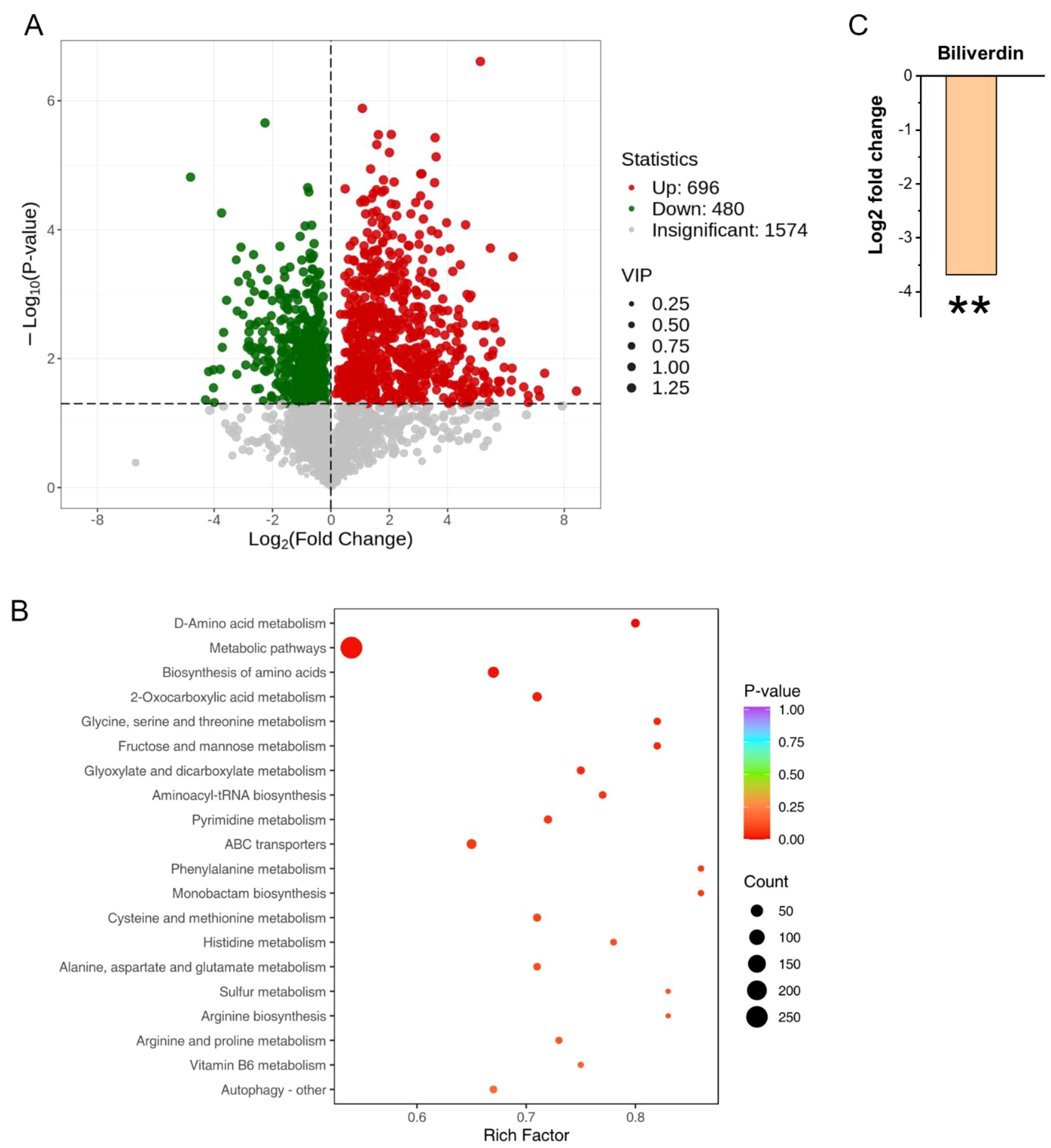 Panel A shows a volcano plot with data points in red, green, and gray indicating upregulated, downregulated, and insignificant points respectively, based on log2 fold change and -log10 p-values. Panel B displays a bubble plot of metabolic pathways, with bubble size representing count and color indicating p-values. Panel C is a bar graph illustrating a significant decrease in biliverdin's log2 fold change, marked by asterisks.