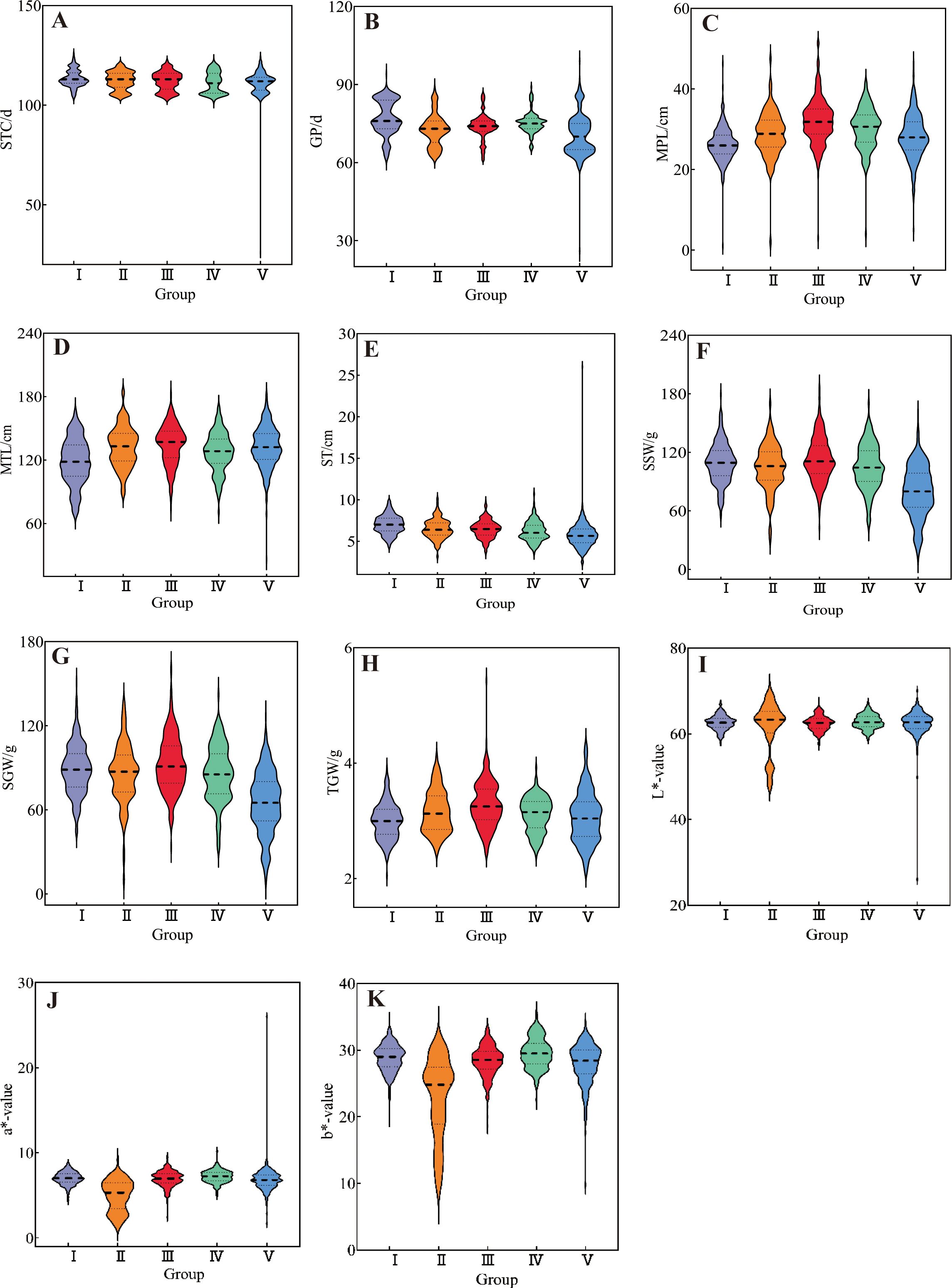Eleven violin plots labeled A to K compare various metrics across five groups, I to V. Each plot displays distribution data with different variables on the vertical axis, including STC/d, GP/d, MPL/cm, MTL/cm, ST/cm, SSW/g, SGW/g, TGW/g, L-value, a-value, and b-value. The widths indicate data density. Plots are arranged in a grid with distinct colors for data points in each group.