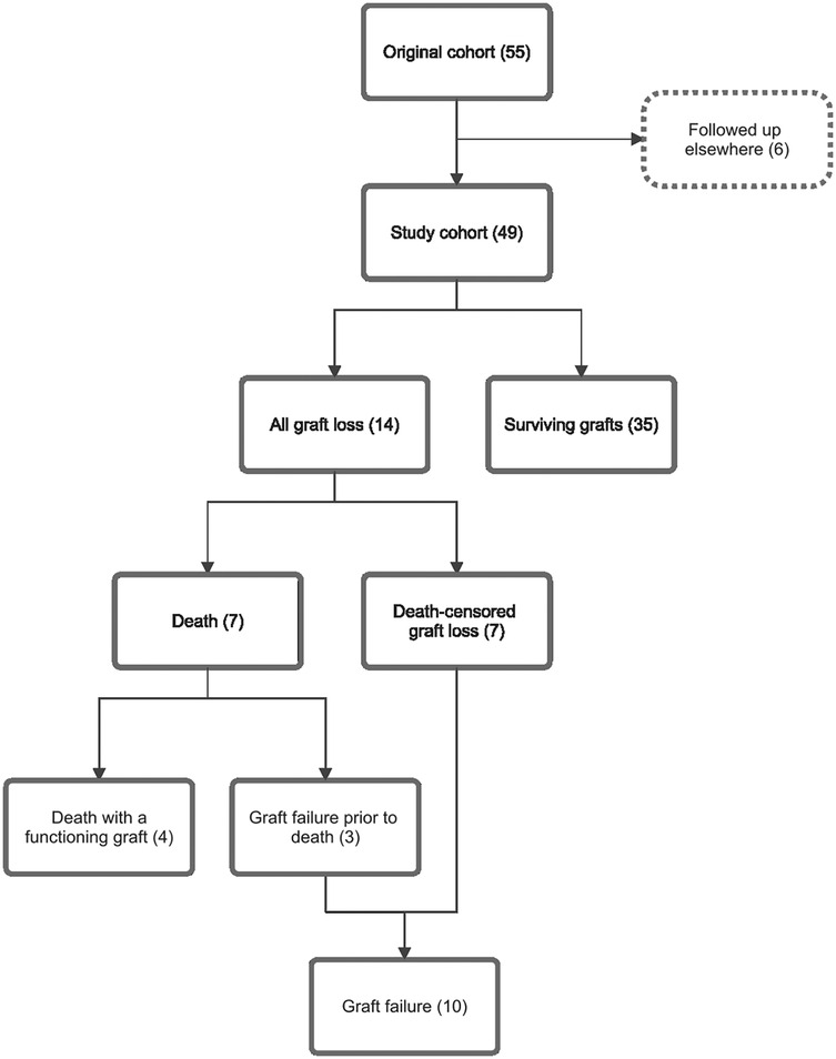 Flowchart depicting the outcomes of study participants. It starts with an original cohort of fifty-five, with six followed up elsewhere, leaving forty-nine in the study cohort. It splits into all graft loss with fourteen and surviving grafts with thirty-five. All graft loss divides into death with seven and death-censored graft loss with seven. Death subdivides into death with a functioning graft, four, and graft failure prior to death, three. Therefore there were a total of ten graft failures.