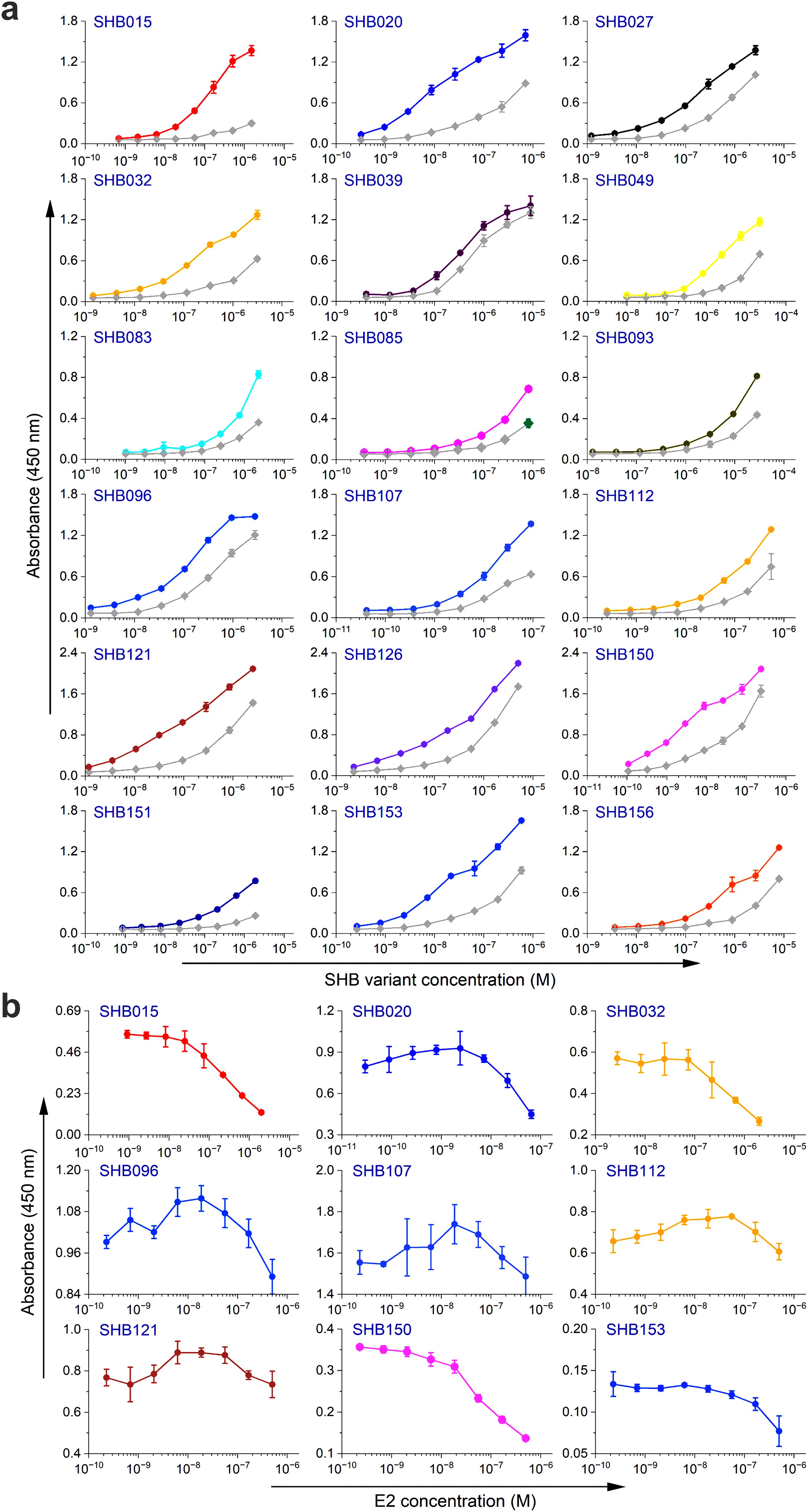 Binding Curve and Competition ELISA assay for SHB variants. Panel (a) displays SHB variant concentration on the x-axis and absorbance on the y-axis, with multiple colored lines representing different SHB variants. Panel (b) presents E2 concentration on the x-axis and absorbance on the y-axis, with various colored lines indicating different SHB variants. Error bars are present for each data point.