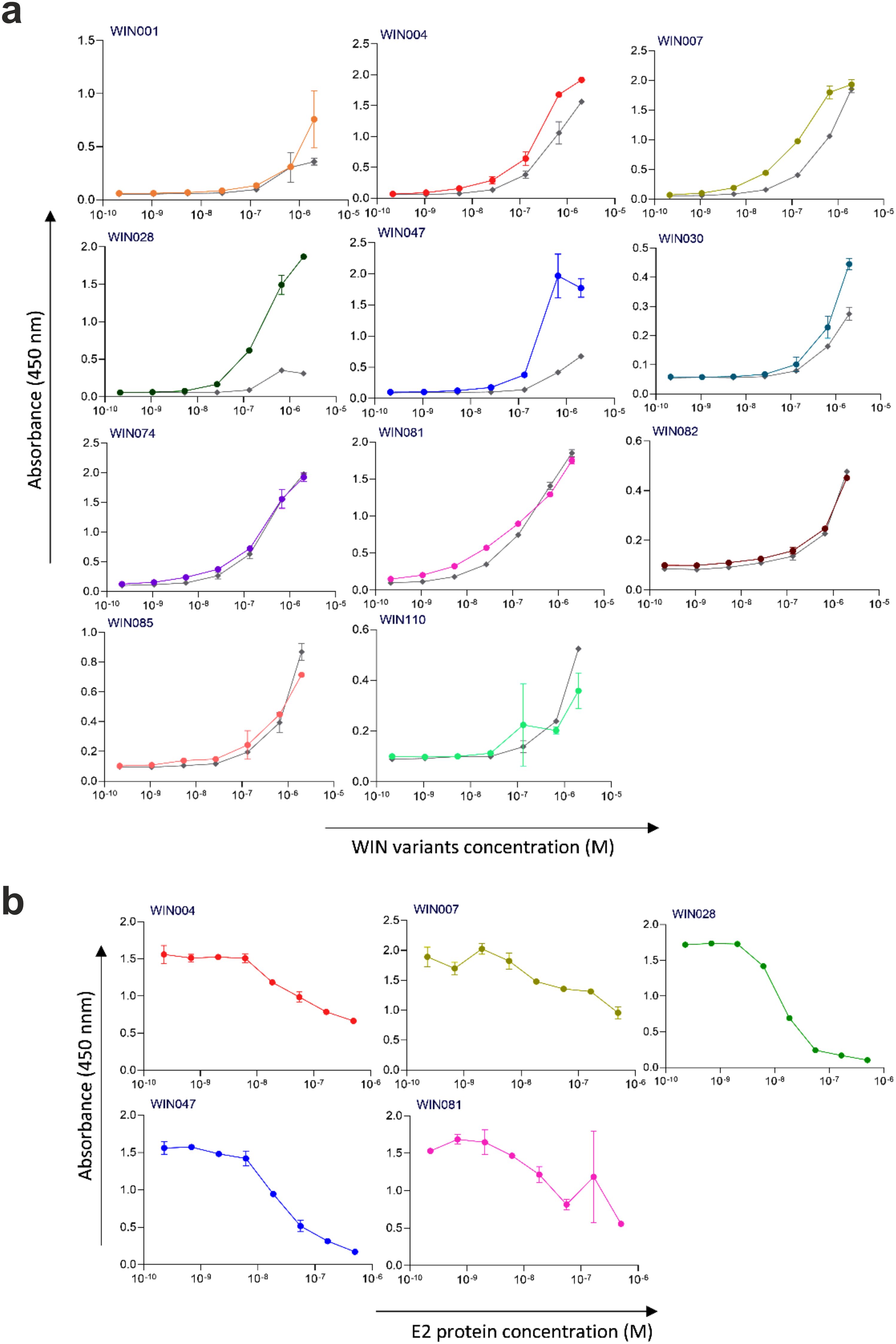 Binding Curve and Competition ELISA assay for WIN variants. Part (a) shows curves for variants WIN001, WIN004, WIN007, WIN028, WIN047, WIN030, WIN074, WIN081, WIN082, WIN085, and WIN110, plotted against WIN variant concentrations. Part (b) presents curves for WIN004, WIN007, WIN028, WIN047, and WIN081, plotted against E2 protein concentrations. Each curve shows absorbance trends with increasing concentrations, highlighting different binding affinities. Error bars indicate variability.
