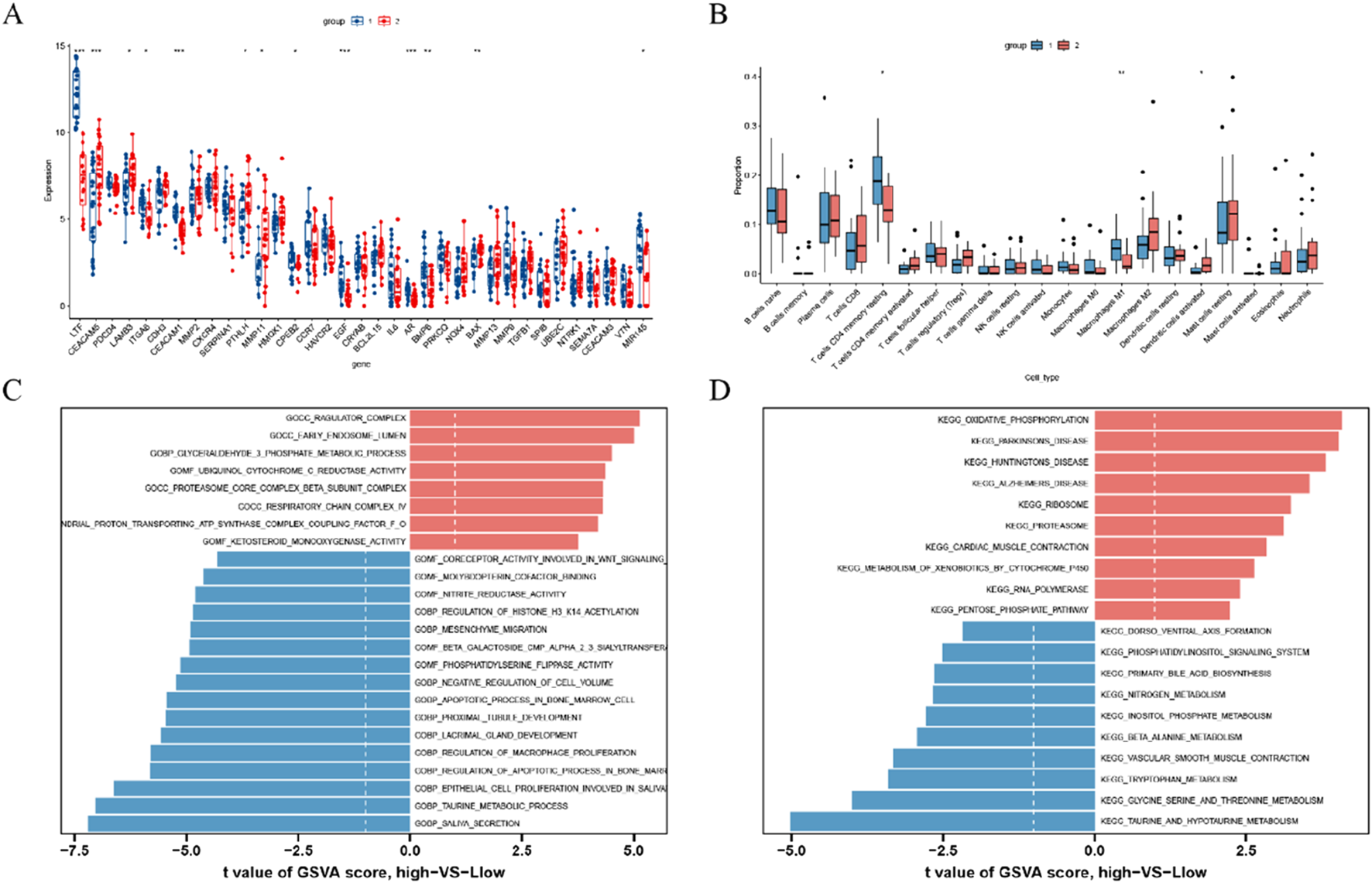 Four-part figure including box plots and bar charts.A) Box plot showing gene expression levels across various genes, with data points in red and blue representing two groups.B) Box plot illustrating the proportion of different cell types, with two groups represented by red and blue.C) Bar chart showing t-values of GSVA scores comparing high versus low expression for various biological processes linked to gene ontology, categorized by color.D) Bar chart displaying t-values of GSVA scores for KEGG pathways, with data categorized in a similar manner.