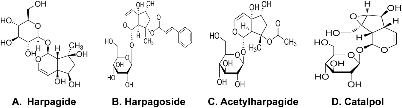 Chemical structure illustrations of four compounds: A. Harpagide, B. Harpagoside, C. Acetylharpagide, and D. Catalpol. Each structure shows unique molecular arrangements, including rings and functional groups, labeled for identification.