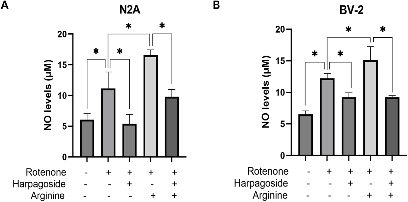 Bar graphs comparing nitric oxide (NO) levels in micromolar (μM) for N2A and BV-2 cells. Both graphs show the effects of Rotenone, Harpagoside, and Arginine, with and without each treatment. Significant differences are marked with asterisks. N2A graph shows NO levels range from 5 to 15, with the highest with Rotenone and Arginine. BV-2 graph shows similar variations, with the highest level also with Rotenone and Arginine.