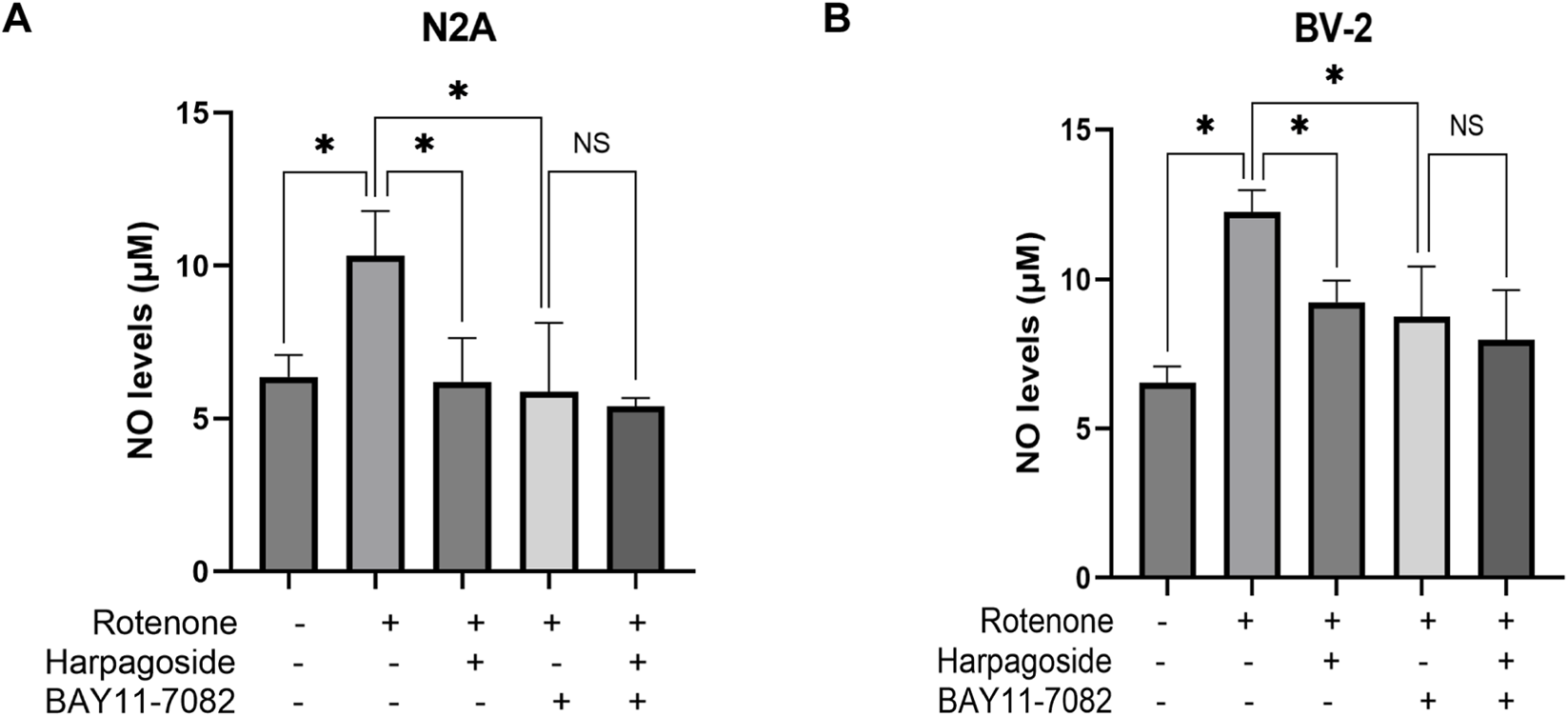 Bar graphs illustrating nitric oxide (NO) levels in micromolar units for N2A cells (Panel A) and BV-2 cells (Panel B). Both panels compare NO levels under different conditions: control, with rotenone, rotenone plus harpagoside, and with rotenone plus BAY11-7082. Significant differences are indicated by asterisks, and non-significant by "NS".