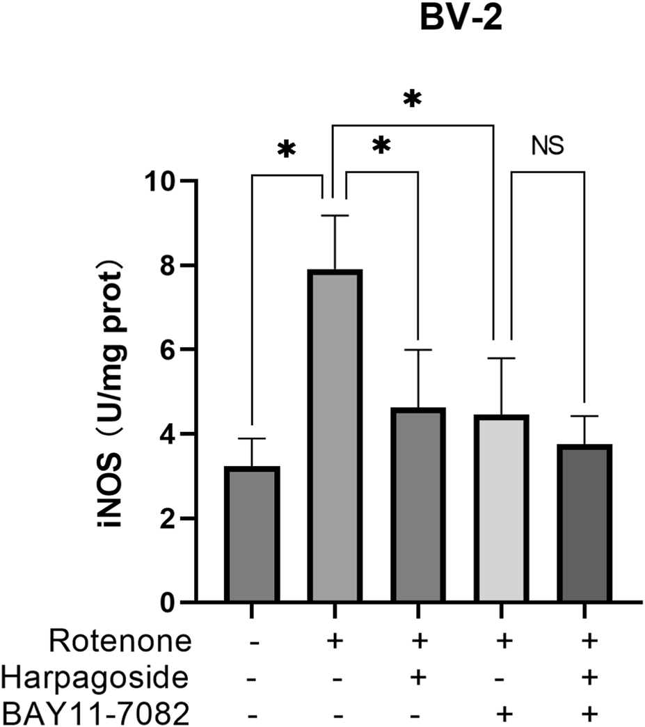 Bar graph titled "BV-2" showing iNOS levels in U/mg protein. Four bars represent different conditions of rotenone, harpagoside, and BAY11-7082 treatments. Asterisks indicate statistical significance, while "NS" denotes not significant. Bars vary in height from about 2 to 8 units, with higher values for treatments including rotenone.