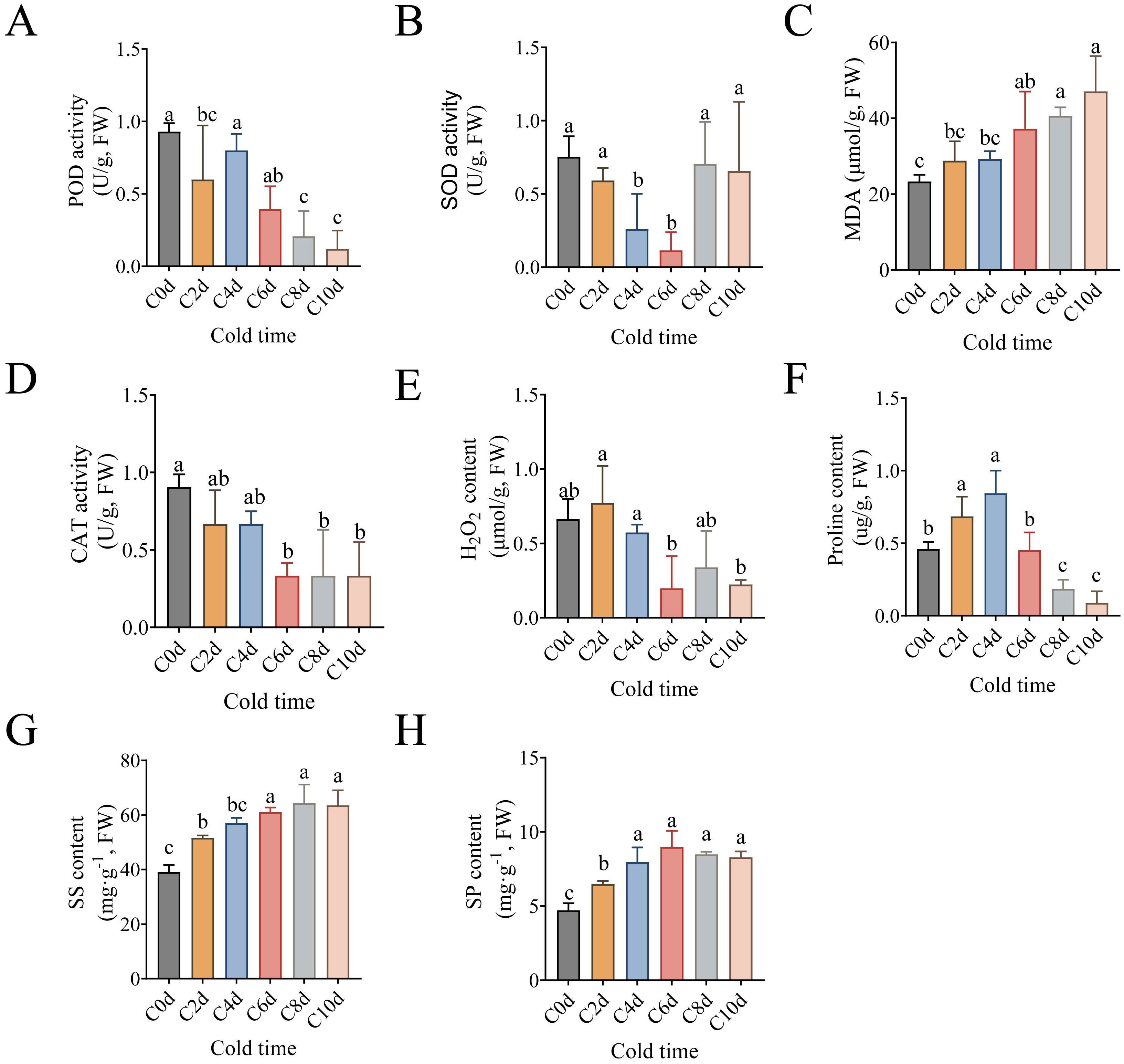 Bar charts labeled A to H showing various biochemical activities and content levels over different cold time periods (C0d to C10d). Charts A to H respectively represent POD activity, SOD activity, MDA content, CAT activity, H2O2 content, proline content, SS content, and SP content, with variations marked by letters indicating statistical differences. Each graph shows differing patterns of increase or decrease across the time points.