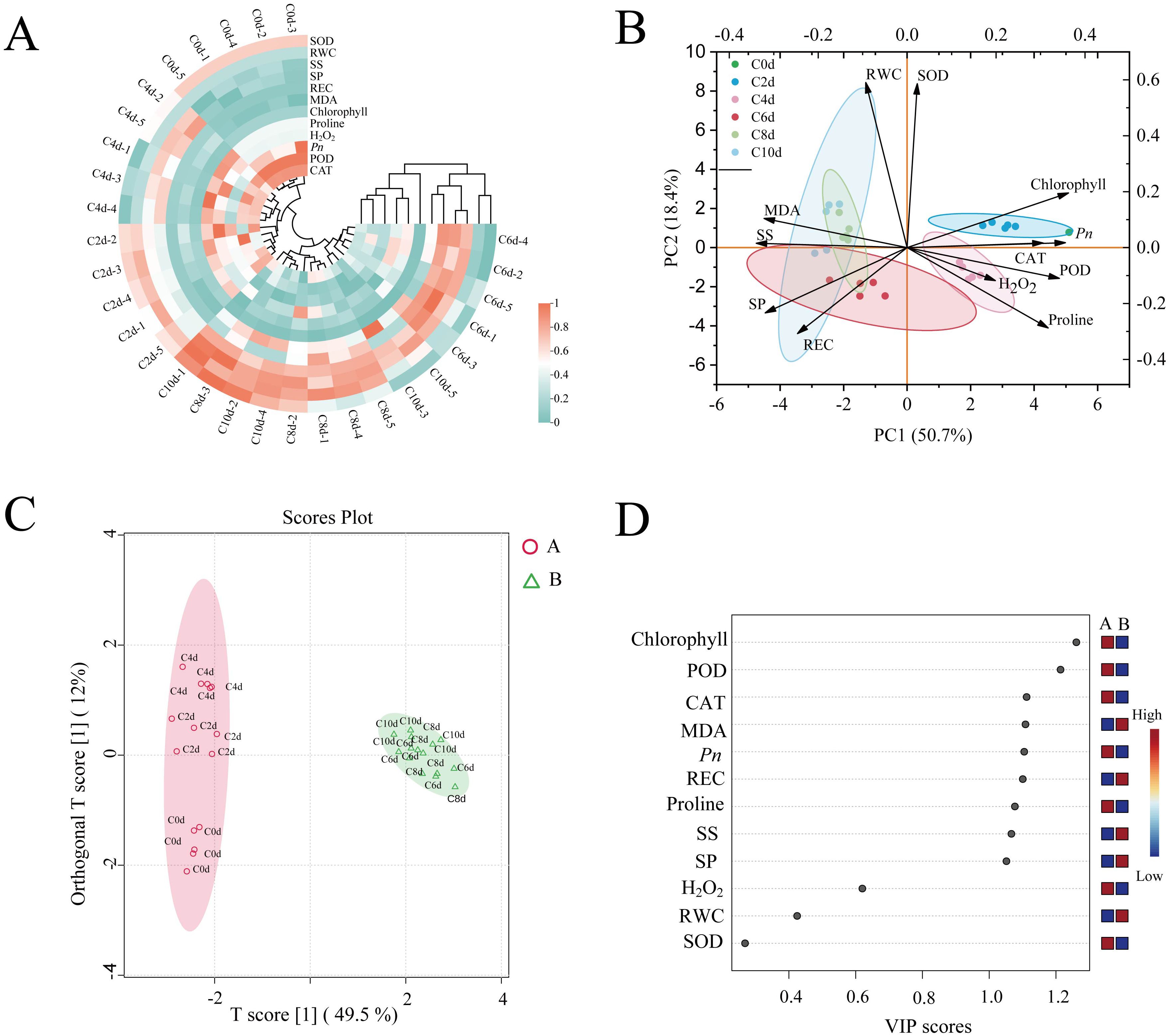 Figure with four panels: A) Circular heatmap displaying data correlations; color gradient from blue to red indicates data values. A hierarchical dendrogram clusters similar variables. B) PCA biplot illustrating sample distribution and variable vectors in two principal components; clusters are color-coded with confidence ellipses. C) OPLS-DA score plot separating two groups, A and B, marked by red circles and green triangles, with confidence ellipses. D) VIP scores plot showing the importance of variables; chlorophyll and POD have high scores.