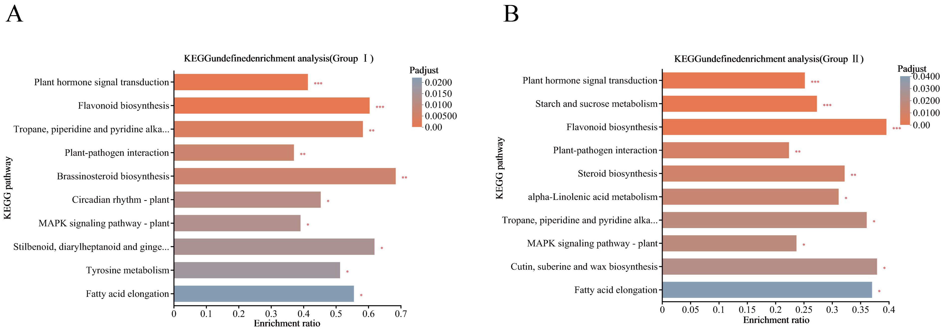 Two bar charts titled “KEGG enrichment analysis” compare different biological pathways' enrichment ratios for Group I and Group II. A shows “Plant hormone signal transduction” has the highest enrichment with significant p-adjust values. B highlights “Flavonoid biosynthesis” as the most enriched, and p-adjust values are indicated by color.