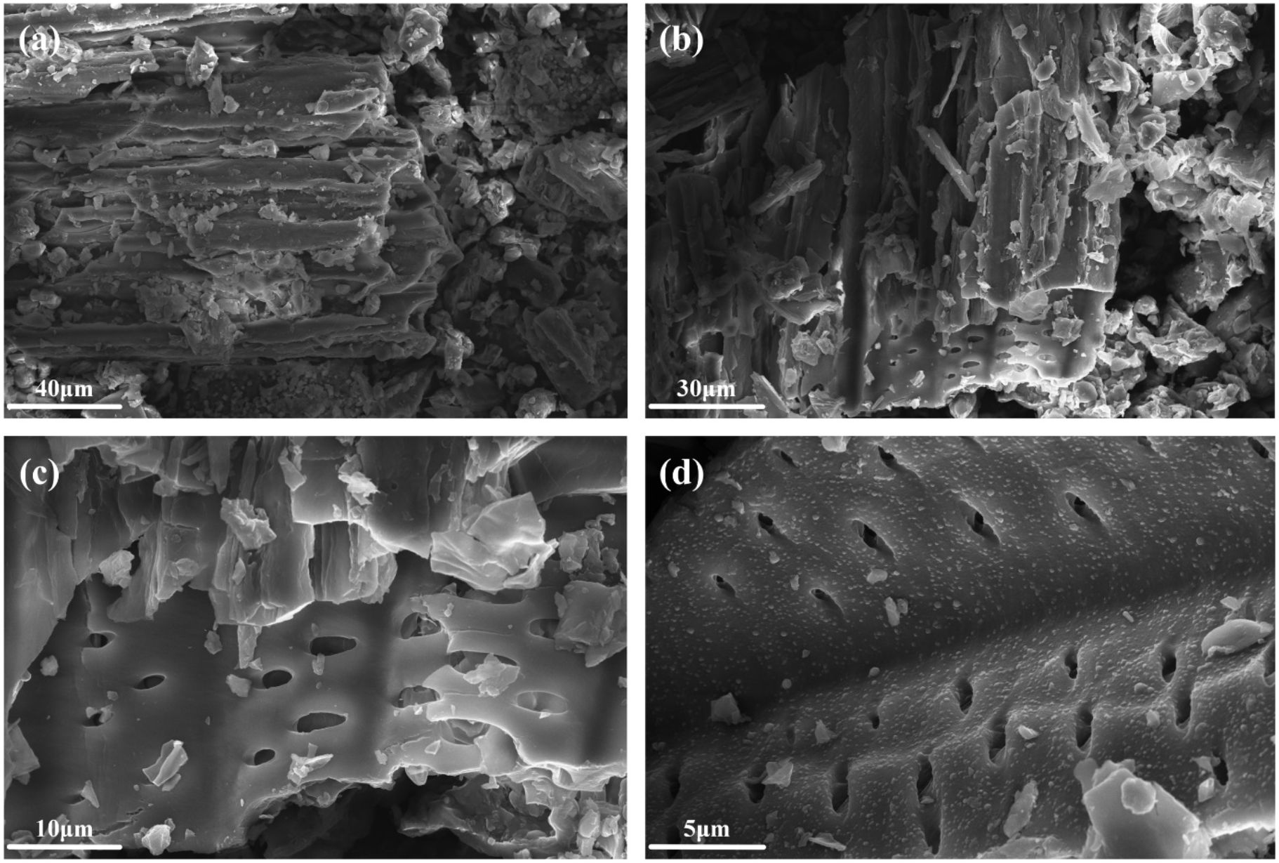 Four grayscale scanning electron microscope images show microstructural features of a material. (a) Displays layered formations at 40 micrometers, (b) shows similar structures with more defined layers at 30 micrometers, (c) focuses on openings and layers at 10 micrometers, and (d) presents periodic perforations at 5 micrometers.
