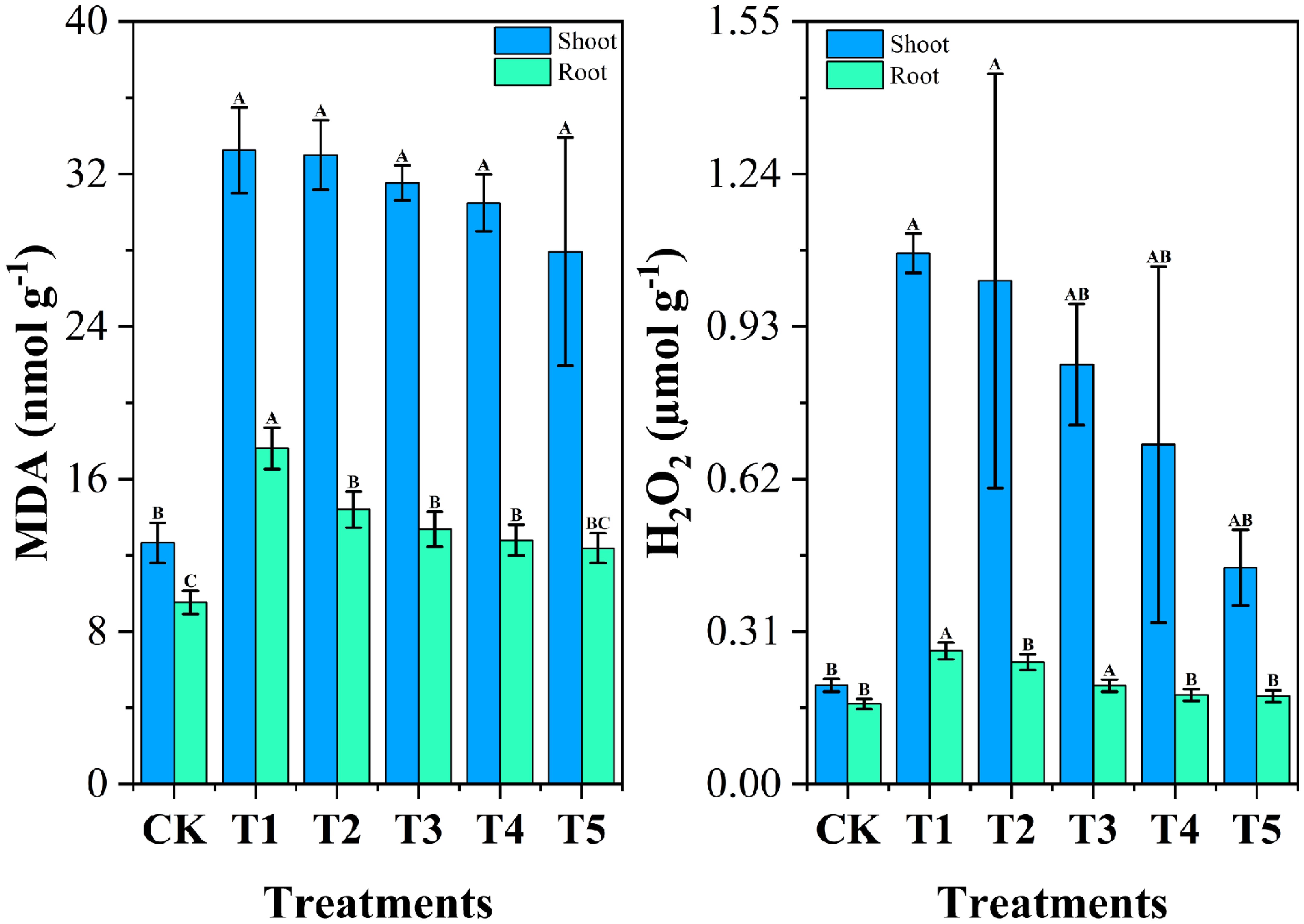 Bar charts showing MDA and Hâ‚‚Oâ‚‚ levels in shoots and roots across six treatments (CK, T1, T2, T3, T4, T5). MDA values are highest in shoots for all treatments with T1-T4 being statistically similar. Roots have lower MDA and show significant variation. Hâ‚‚Oâ‚‚ levels are also highest in shoots, with T1 and T3 being notably distinct. Roots have relatively consistent Hâ‚‚Oâ‚‚ levels with minor variations. Error bars indicate variability, with letters representing statistical significance groups.