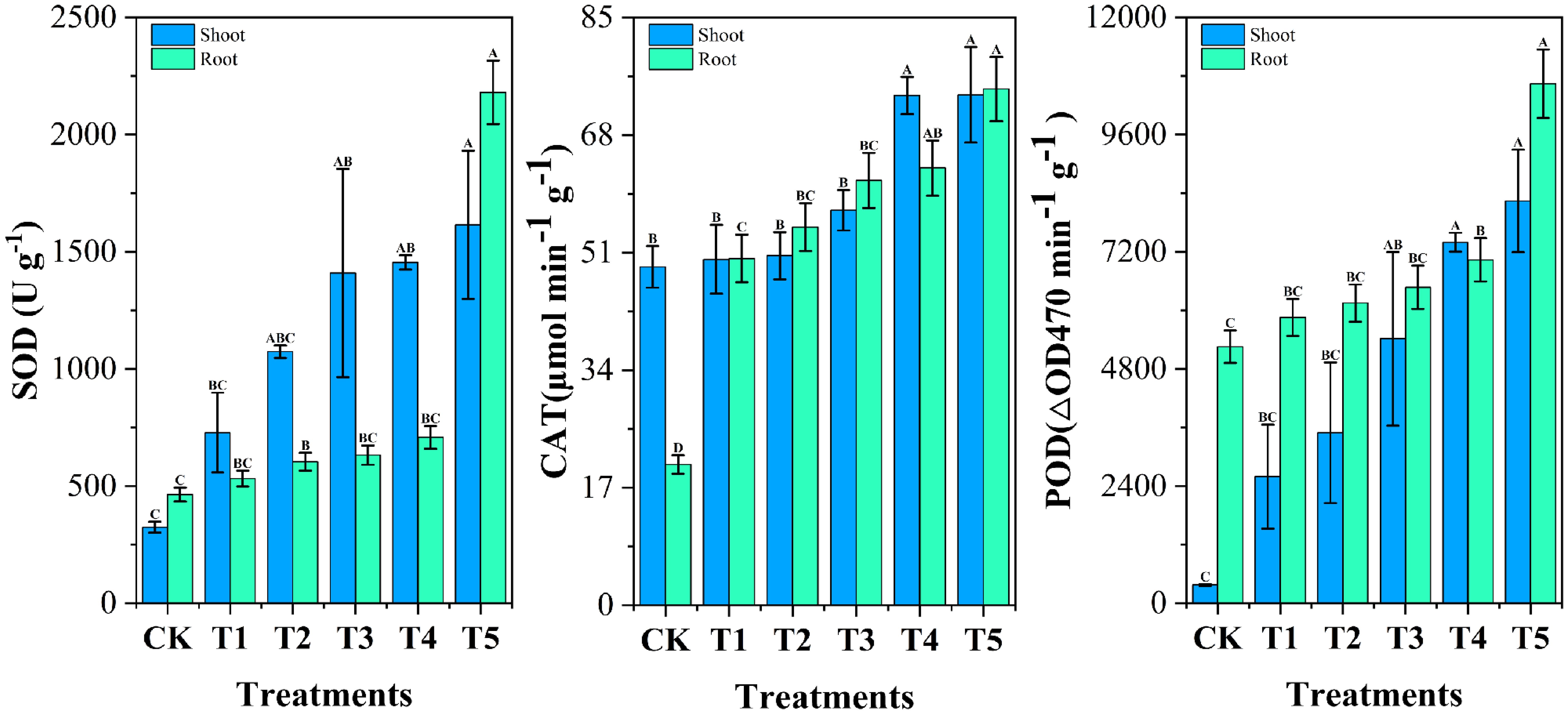 Three bar graphs compare enzyme activity in shoots and roots across five treatments (CK, T1, T2, T3, T4, T5). The first graph shows SOD activity, the second CAT activity, and the third POD activity. Each graph uses blue for shoots and green for roots, indicating varying levels of enzyme activity with annotations for statistical significance (A, B, C). Error bars are included to show variability.
