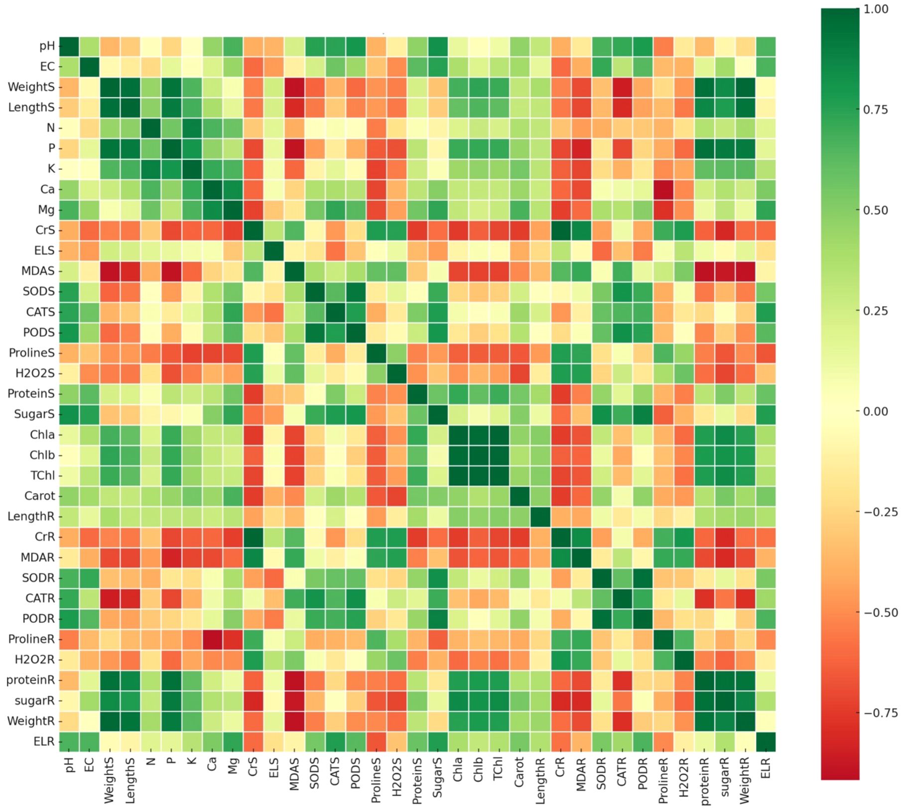 Heatmap showing correlations between various variables related to plant measurements and properties. Rows and columns represent different variables, with values indicated by colors ranging from green (positive correlation) to red (negative correlation). A color bar on the right provides a scale from negative zero point seven five to one.