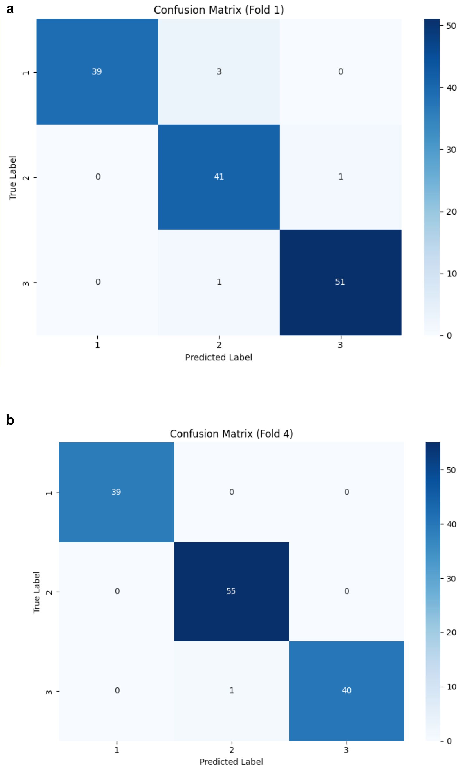 Confusion matrix results for two folds. In Fold 1, true label one has 39 correct predictions, true label two has 41, and true label three has 51. In Fold 4, true label one has 39 correct predictions, true label two has 55, and true label three has 40. Each matrix has minimal misclassifications.