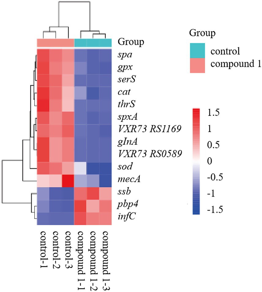 Heatmap depicting gene expression levels across different samples categorized as control and compound 1. Rows represent genes, and columns represent samples. Colors range from red to blue, indicating expression levels from high (red) to low (blue).