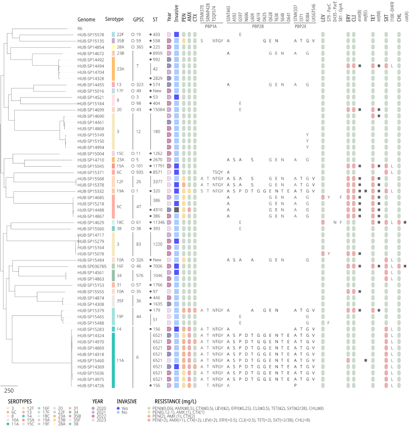 Dendrogram showing genetic relationships among various genomes with serotype, GPSC, and ST columns. Each row includes information on year, invasiveness, resistance patterns, and gene presence. Color-coded symbols indicate resistance levels and genes involved. A legend at the bottom explains serotype colors, invasiveness, and resistance criteria.