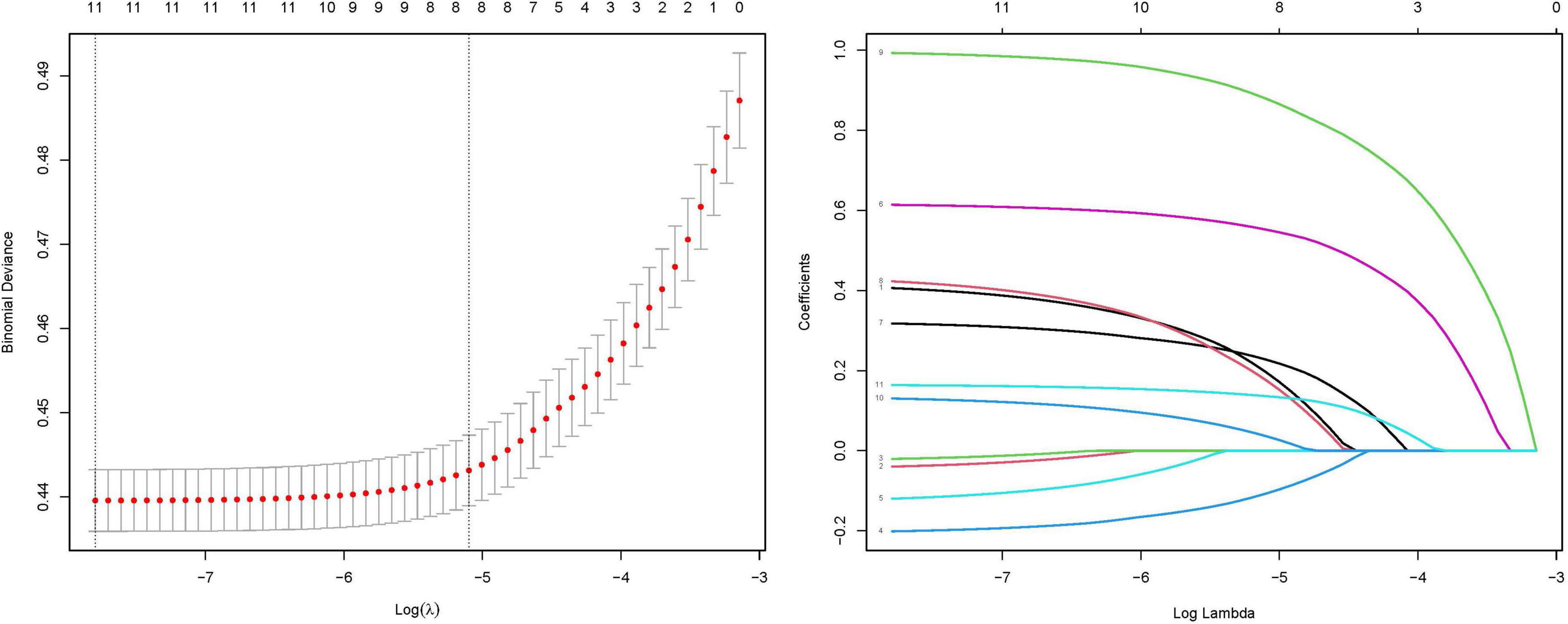 Left graph shows a plot of log(lambda) versus binomial deviance with red dots and error bars, indicating model performance. Right graph displays log(lambda) versus coefficients, showing coefficient paths for different variables, with curves in various colors.