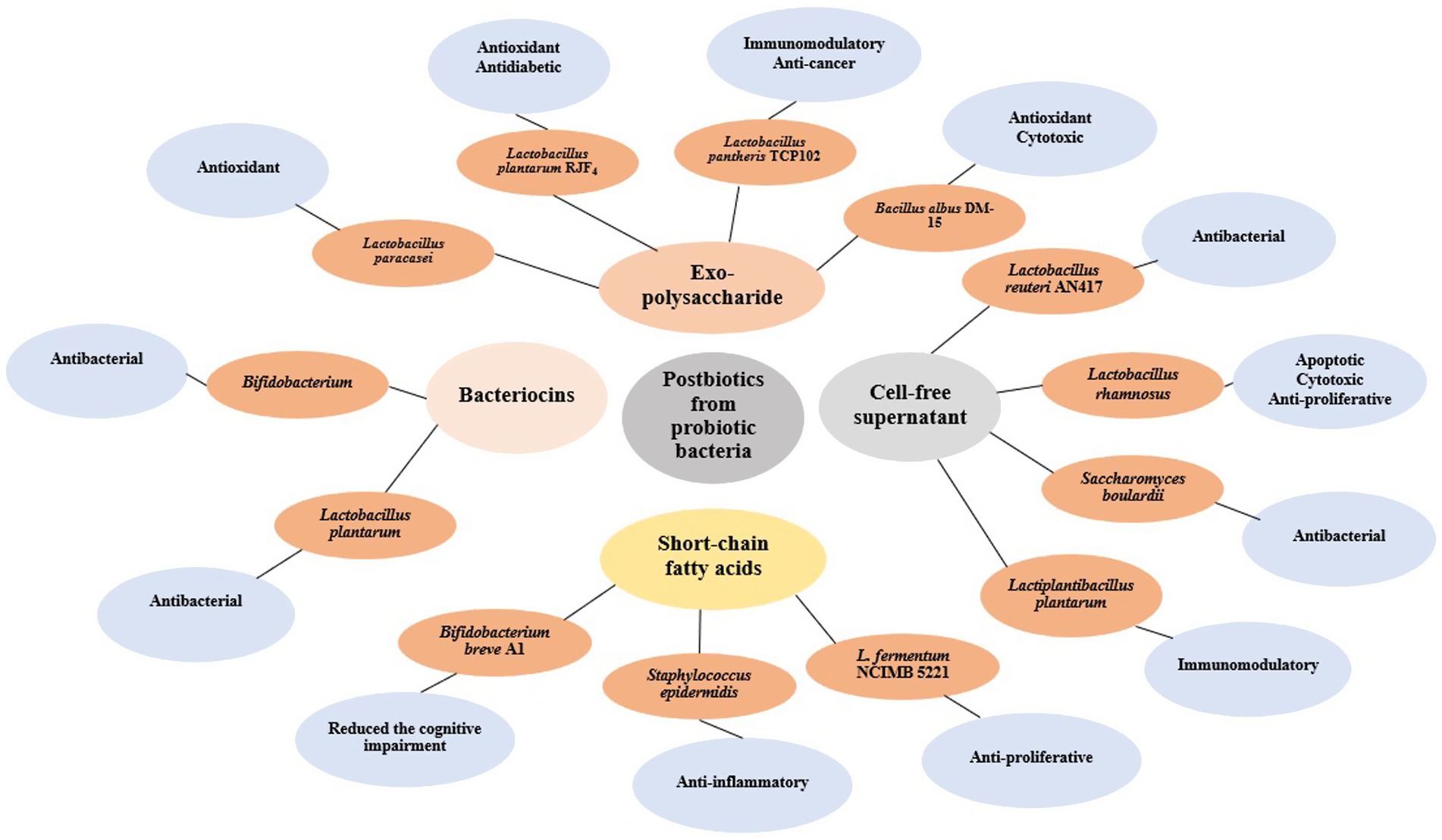 Diagram showing postbiotics from probiotic bacteria, including exo-polysaccharide, cell-free supernatant, bacteriocins, and short-chain fatty acids. Labels indicate various health effects like antioxidant, antibacterial, immunomodulatory, cytotoxic, and more, linked to specific bacterial strains, such as Lactobacillus and Bifidobacterium.