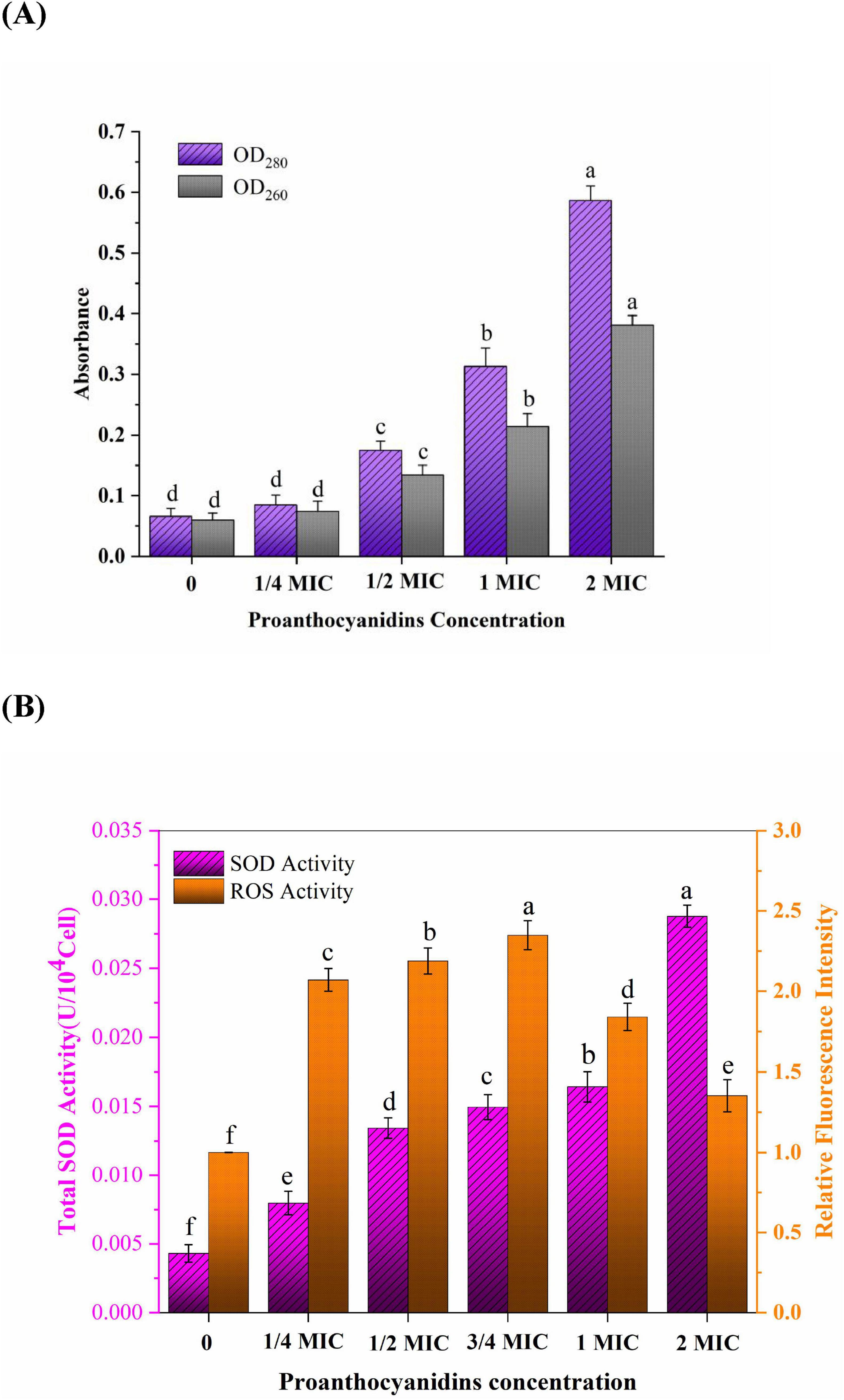 “(A) Bar chart depicting absorbance at OD280 and OD260 across different proanthocyanidin concentrations: 0, 1/4 MIC, 1/2 MIC, 1 MIC, and 2 MIC. Absorbance increases with concentration, with OD280 consistently higher than OD260. (B) Bar chart showing SOD and ROS activity across various proanthocyanidin concentrations. SOD activity is shown in purple, and ROS activity in orange. Both activities generally increase with concentration, with key differences at specific concentrations.”