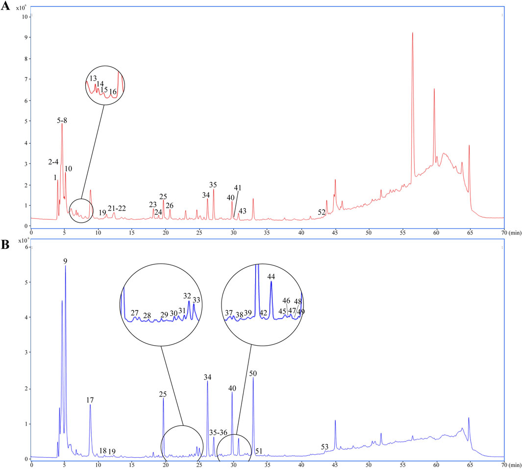 Two chromatograms labeled A and B. Chromatogram A is in red, illustrating peaks at various time intervals, with notable peaks at 5-8, 10, and 60-65 minutes. Some peaks are magnified, such as those at 13-16 and 19-21 minutes. Chromatogram B, in blue, shows peaks with notable sections magnified between 27-33 and 37-39 minutes. Peaks are also observed at 9, 25, and 50 minutes. Both chromatograms display detailed chemical analysis over a 70-minute period with concentration on the vertical axis.