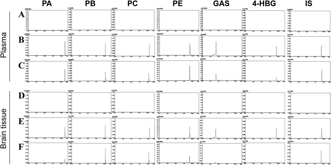 A series of chromatograms depicting compound concentrations in plasma (A, B, C) and brain tissue (D, E, F) across different panels labeled PA, PB, PC, PE, GAS, 4-HBG, and IS. Peaks in the graphs indicate the presence of specific compounds, with variations shown between plasma and brain tissue samples.