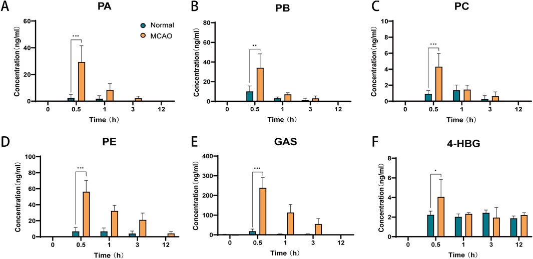 Bar charts show the concentration of six compounds (PA, PB, PC, PE, GAS, and 4-HBG) over time in hours (0, 0.5, 1, 3, 12) for normal and MCAO conditions. MCAO samples exhibit higher concentrations, especially at 0.5 hours. Statistically significant differences are marked, with asterisks denoting the level of significance.