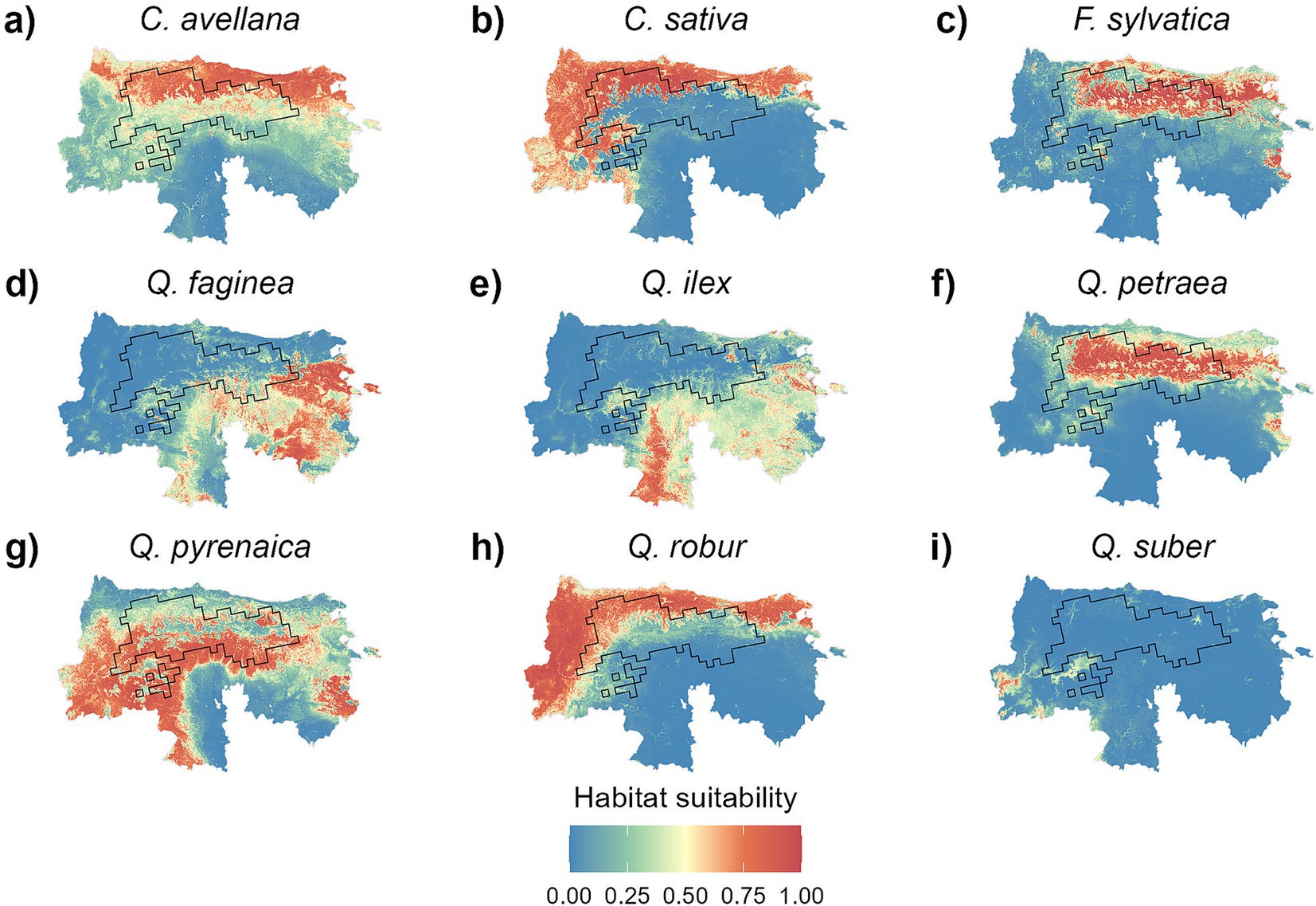 Maps illustrating habitat suitability for different tree species in nine panels labeled a to i. Each panel displays varying colors representing suitability levels from low (blue) to high (red). Species include C. avellana, C. sativa, F. sylvatica, Q. faginea, Q. ilex, Q. petraea, Q. pyrenaica, Q. robur, and Q. suber. The maps show regions with different habitat suitability distributions marked with color gradients and outlined regions.