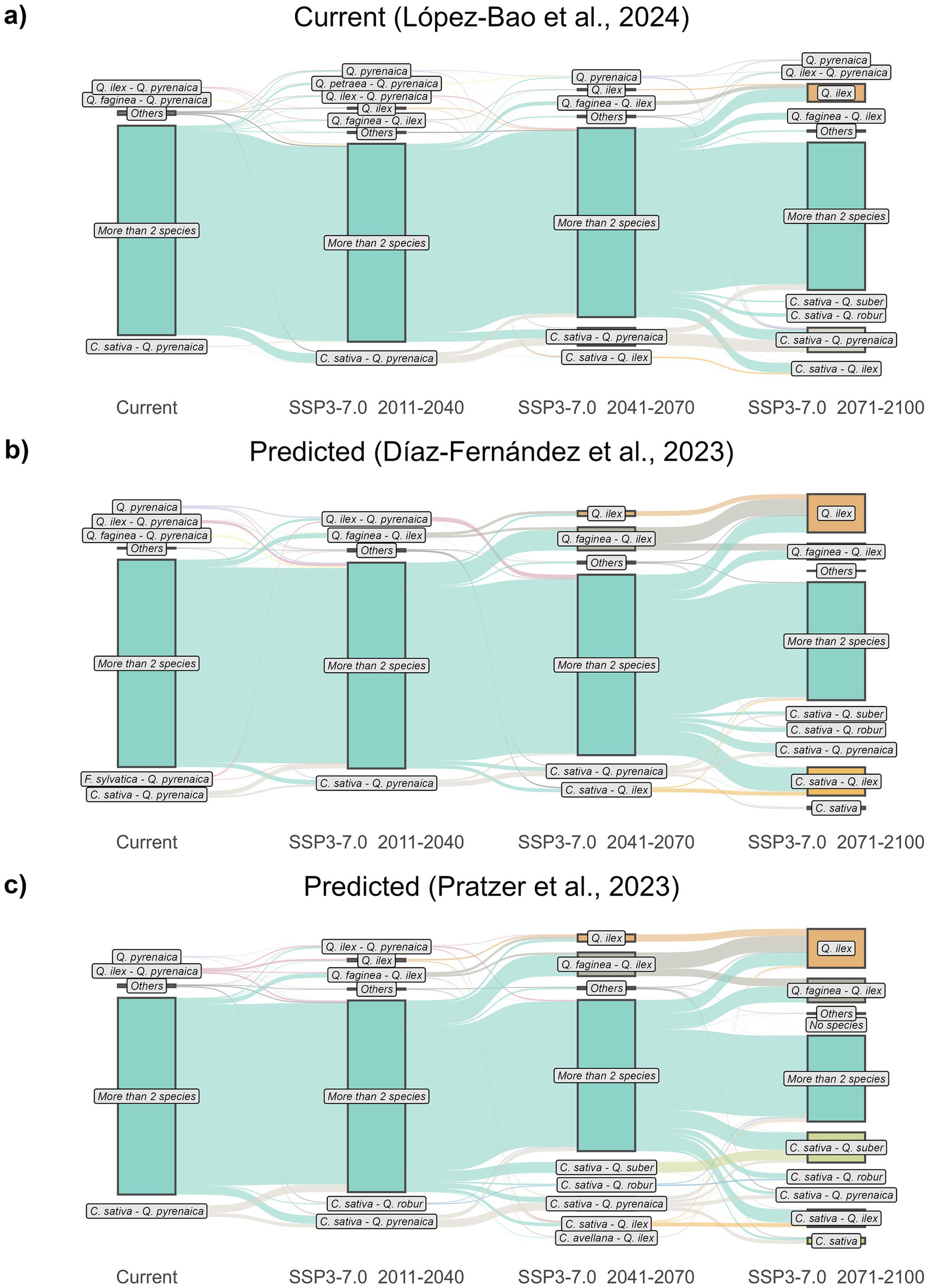 Three Sankey diagrams illustrate tree species distribution over time under different scenarios. Panel a) shows current data by López-Bao et al., 2024. Panel b) and panel c) depict predicted scenarios by Díaz-Fernández et al., 2023 and Pratzer et al., 2023, respectively. Each diagram charts changes from the current period through three future intervals under SSP3-7.0: 2011-2040, 2041-2070, and 2071-2100. Species include Q. pyrenaica, Q. ilex, and C. sativa. Flow thickness and color indicate the number of species and transitions between timeframes.