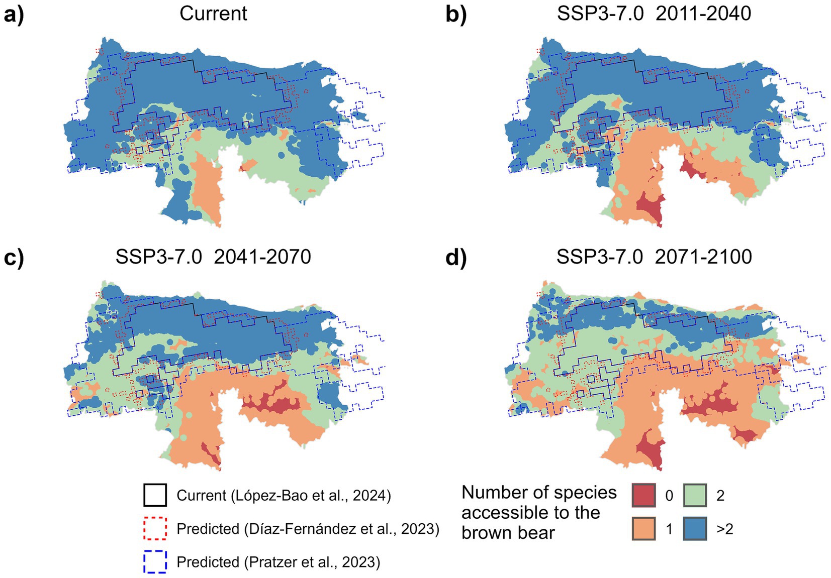 Maps showing species accessibility to brown bears over time under SSP3-7.0 climate scenario. Panel a displays current distribution, with most areas in blue indicating high accessibility. Panels b, c, and d represent projections for 2011-2040, 2041-2070, and 2071-2100, respectively. Blue areas shrink over time, showing decreased accessibility. The legend indicates colors representing the number of accessible species: red (zero), orange (one), green (two), and blue (more than two). Current and predicted boundaries are outlined differently.