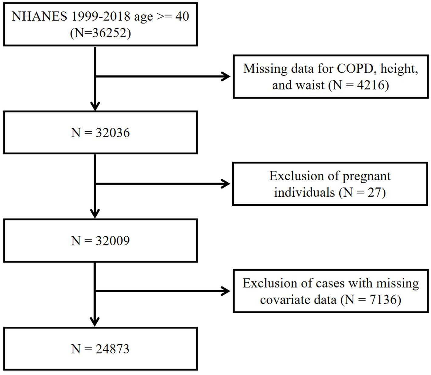 Flowchart showing a selection process from NHANES 1999-2018 for participants aged forty and above. Initially, 36,252 individuals are considered. 4,216 are excluded for missing data on COPD, height, and waist. 3,2009 individuals remain after excluding twenty-seven pregnant participants. Finally, 7,136 are removed for missing covariate data, leaving 24,873 participants.
