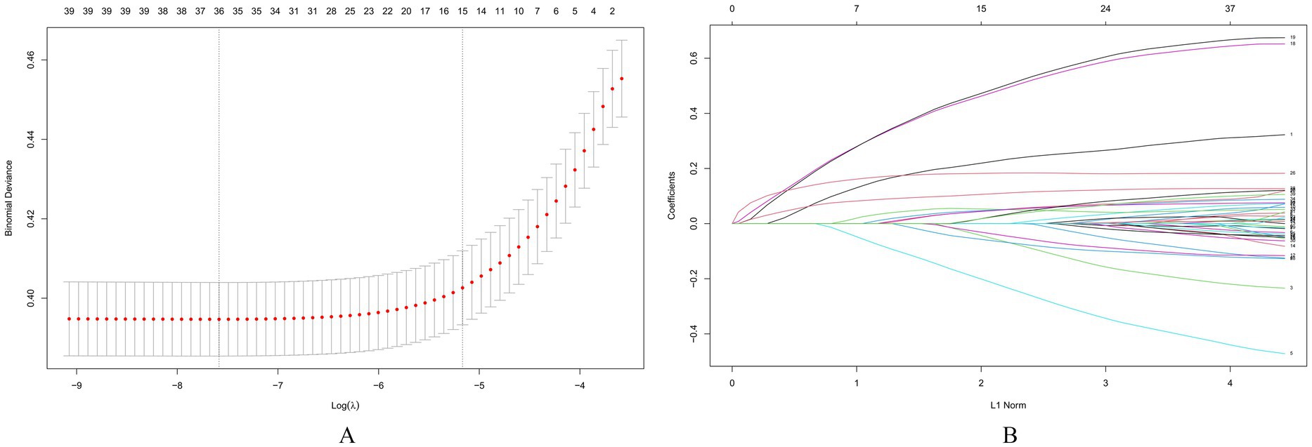 Graph A shows a plot of binomial deviance against log lambda with red dots indicating values and error bars. Graph B displays coefficient paths against L1 norm with multiple colored lines diverging and converging.