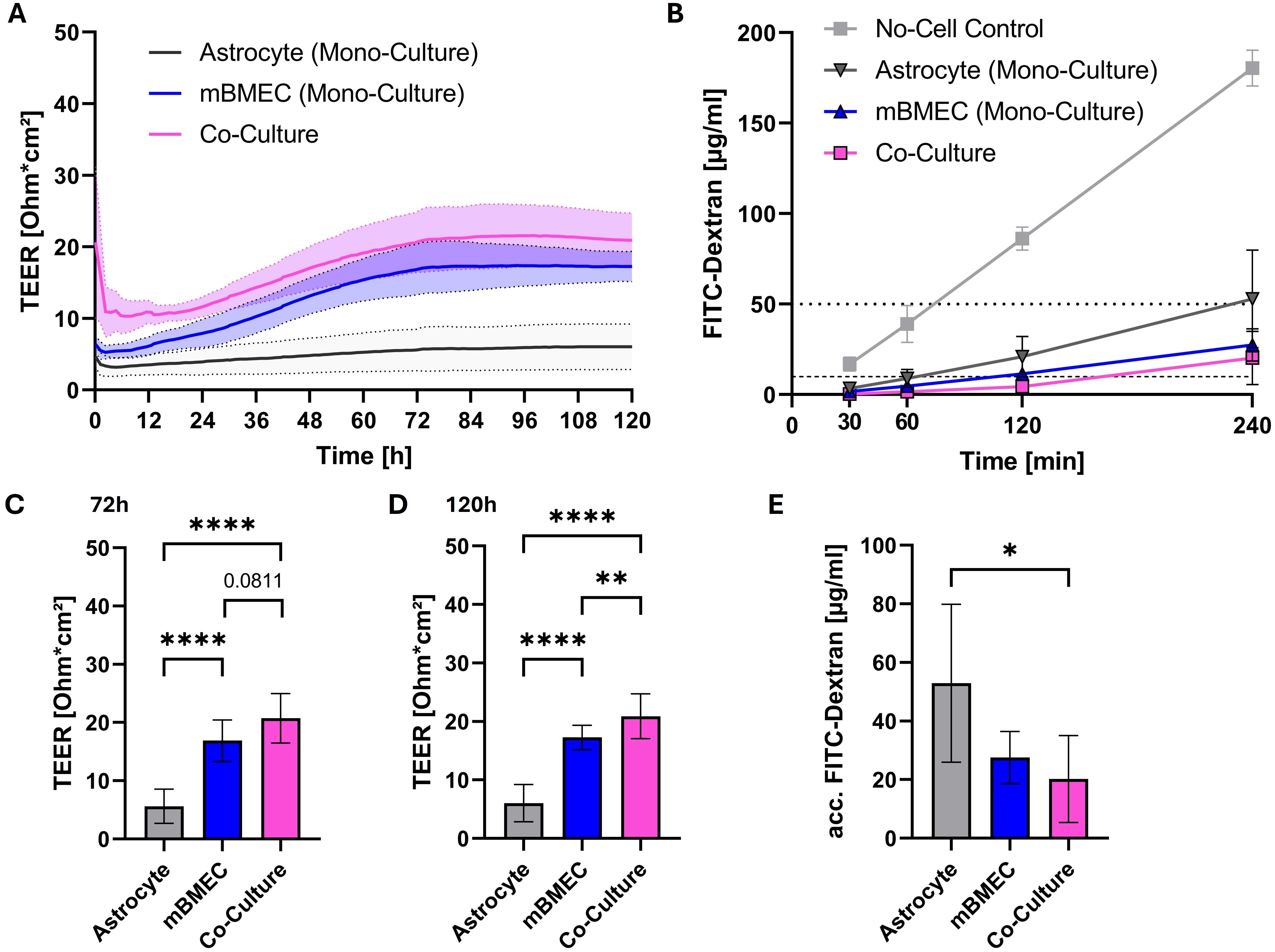 Five-panel chart showing data on TEER and FITC-Dextran permeability. Panel A depicts TEER measurements over time for astrocyte mono-culture, mBMEC mono-culture, and co-culture, showing higher TEER in co-culture. Panel B shows FITC-Dextran permeability over time, with no cell control exhibiting significantly higher permeability. Panels C and D compare TEER at 72 and 120 hours, indicating significant differences, especially higher in co-culture. Panel E displays accumulated FITC-Dextran, with co-culture showing reduced permeability. Statistical significance is marked with asterisks.