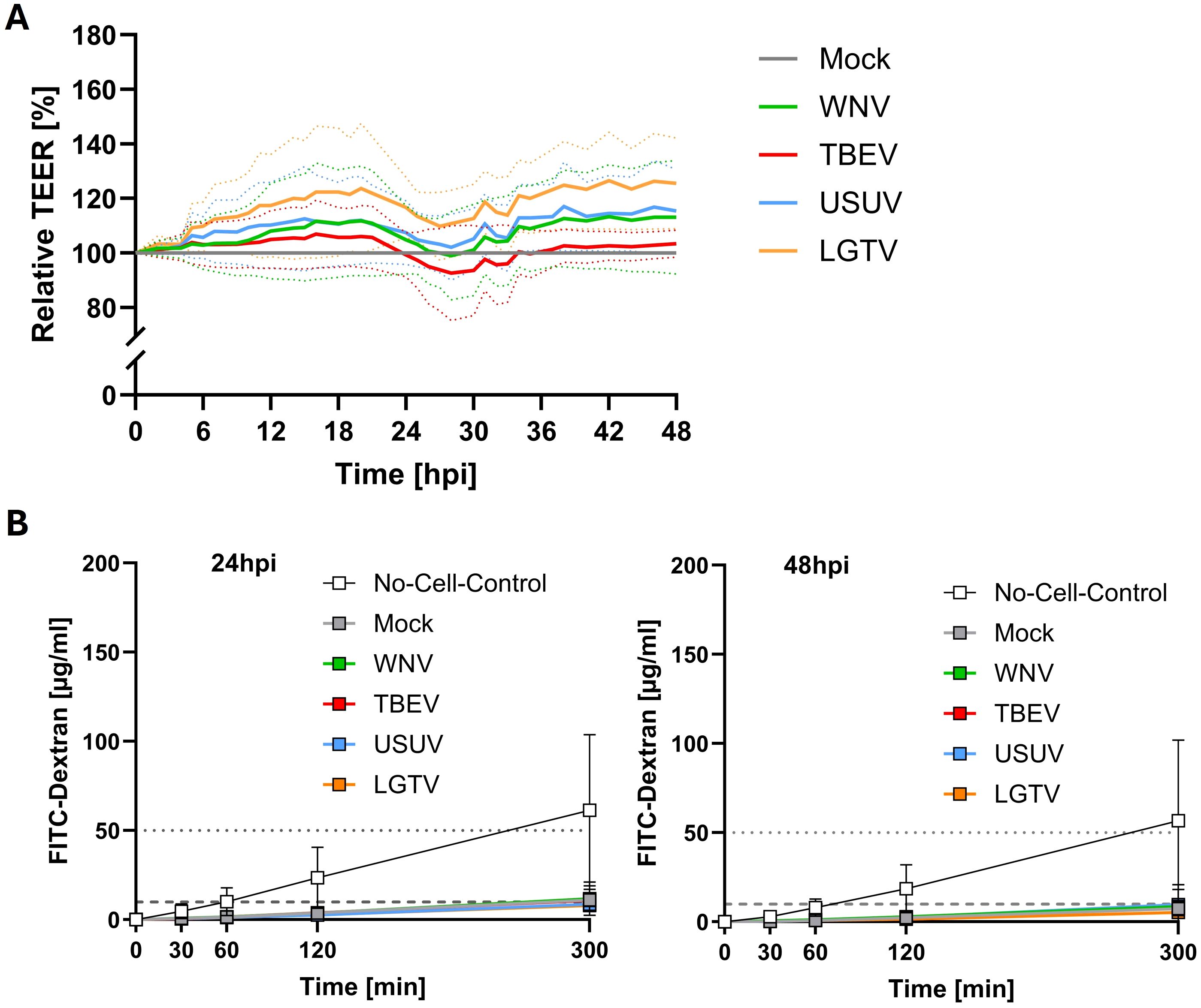 Two graphs showing the effect of different viruses on cell integrity. Graph A depicts relative TEER percentage over time for mock, WNV, TBEV, USUV, and LGTV treatments. Graph B displays FITC-Dextran concentration over time at 24 and 48 hours post-infection, comparing the same treatments.