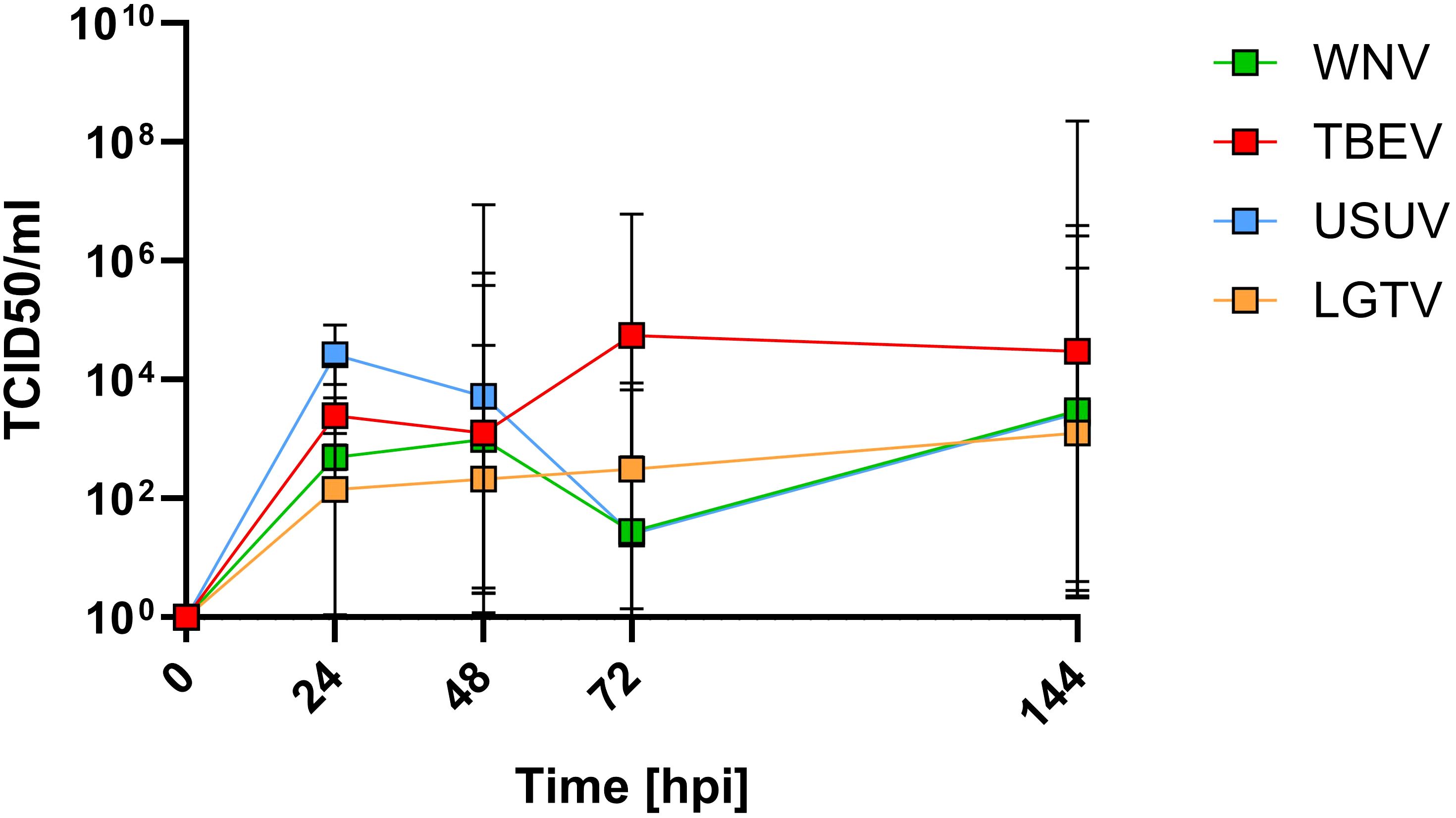 Line graph showing viral growth over time in hours post-infection (hpi) for four viruses: WNV (green), TBEV (red), USUV (blue), and LGTV (orange). TCID50/ml levels are tracked on a logarithmic scale. TBEV shows the highest increase in viral load, peaking at 24 hpi and remaining elevated. Other viruses show lower and more fluctuating levels.