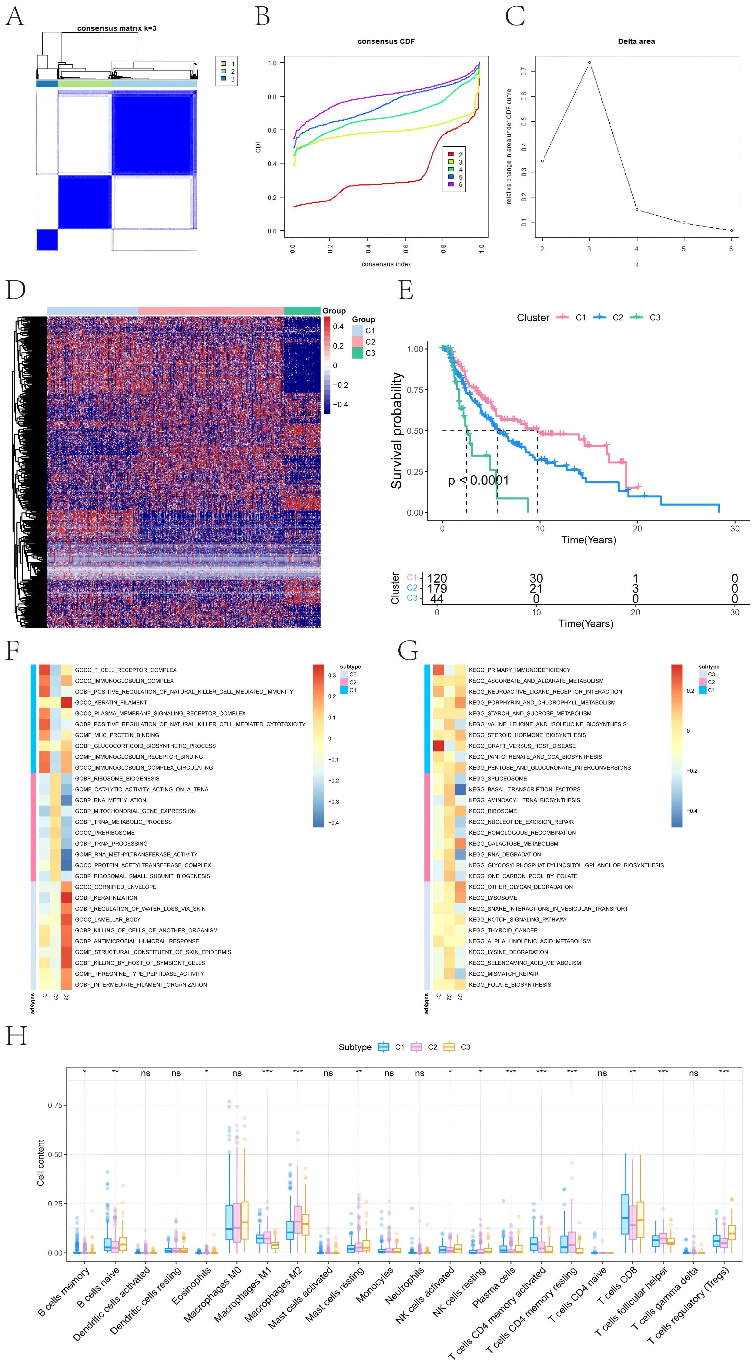 Panel A shows a consensus matrix heatmap for k equal to 3, indicating clustering of data. Panel B presents a consensus cumulative distribution function (CDF) plot, with lines representing different cluster numbers. Panel C displays a line graph of delta area values across cluster counts. Panel D is a heatmap depicting gene expression across subtypes C1, C2, and C3. Panel E is a Kaplan-Meier survival curve comparing survival probabilities of clusters C1, C2, and C3. Panels F and G are heatmaps showing enrichment scores of gene sets for each subtype. Panel H is a box plot comparing cell content proportions across different immune cell types for subtypes C1, C2, and C3.