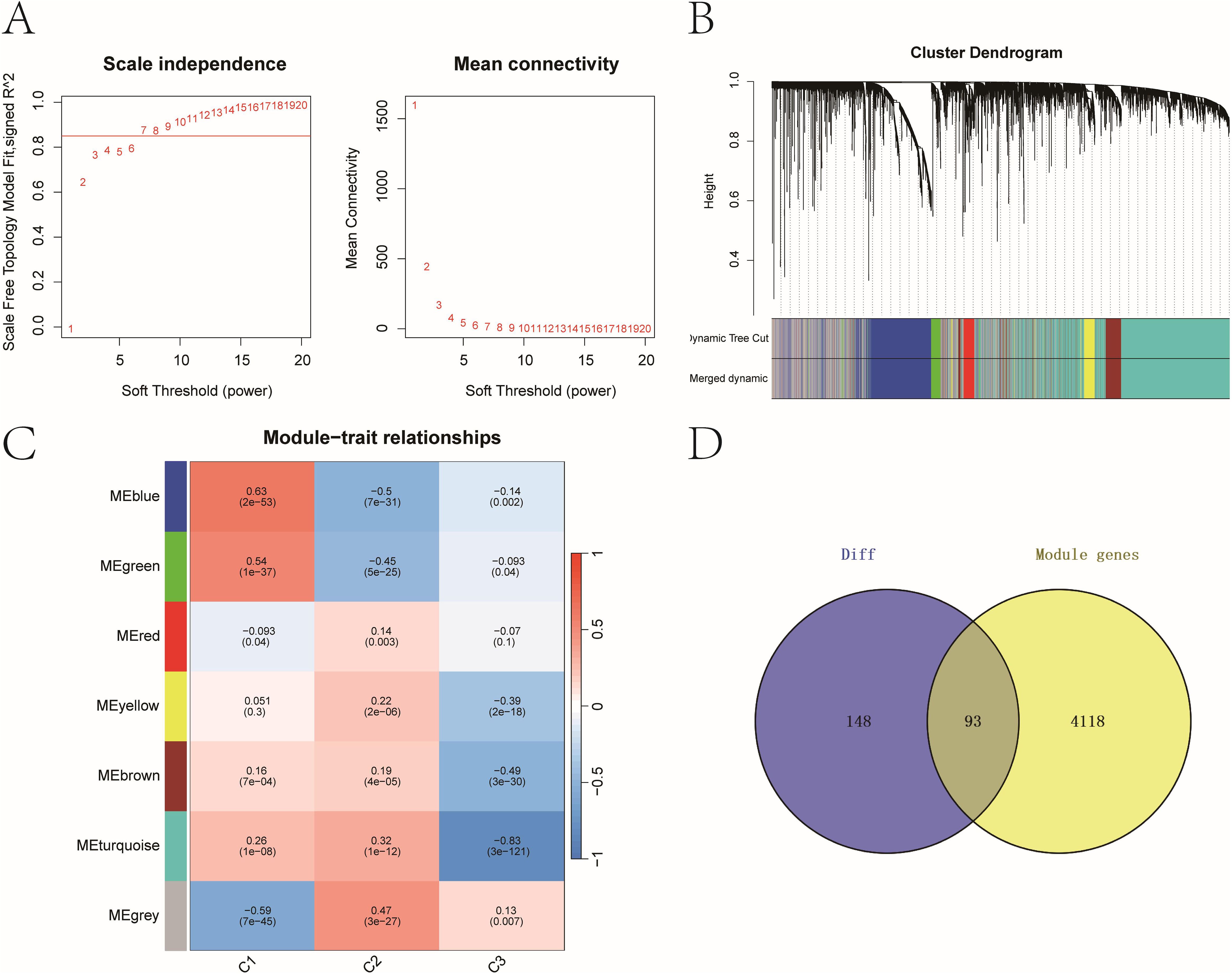Panel A shows two graphs: one plotting scale independence against soft threshold power and the other displaying mean connectivity. Panel B features a cluster dendrogram with colored annotations for dynamic tree cuts and module merging. Panel C is a heatmap illustrating module-trait relationships with color-coded correlations and significance values. Panel D is a Venn diagram comparing “Diff” and “Module genes,” showing overlaps with numbers 148, 93, and 4118.