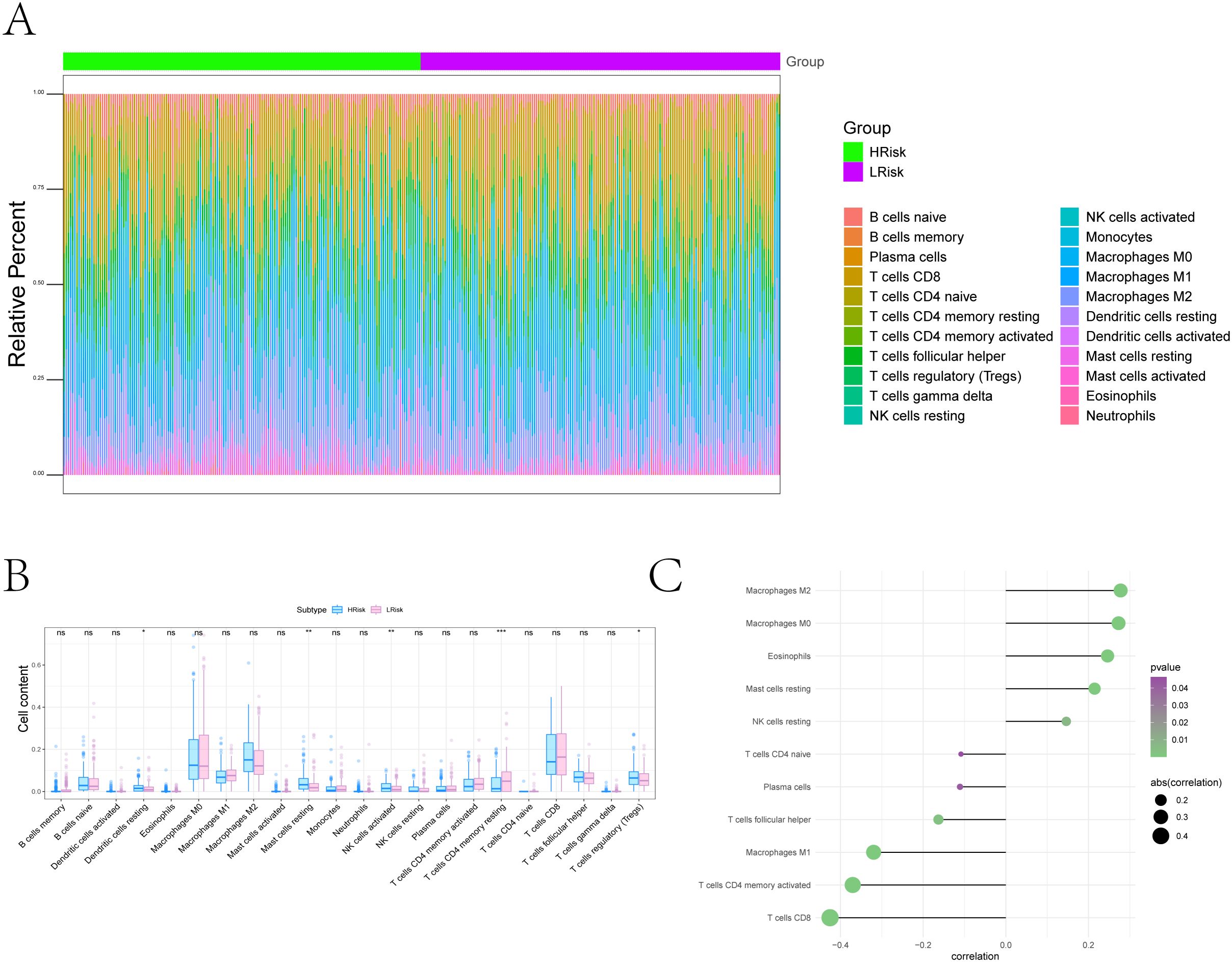 Panel A shows a stacked bar chart detailing the relative percent of immune cell types categorized by “HRisk” and “LRisk” groups. Panel B features a boxplot comparing cell content between “HRisk” and “LRisk” subtypes. Panel C consists of a correlation plot illustrating cell type associations with colors indicating p-values and circle sizes representing correlation strength.