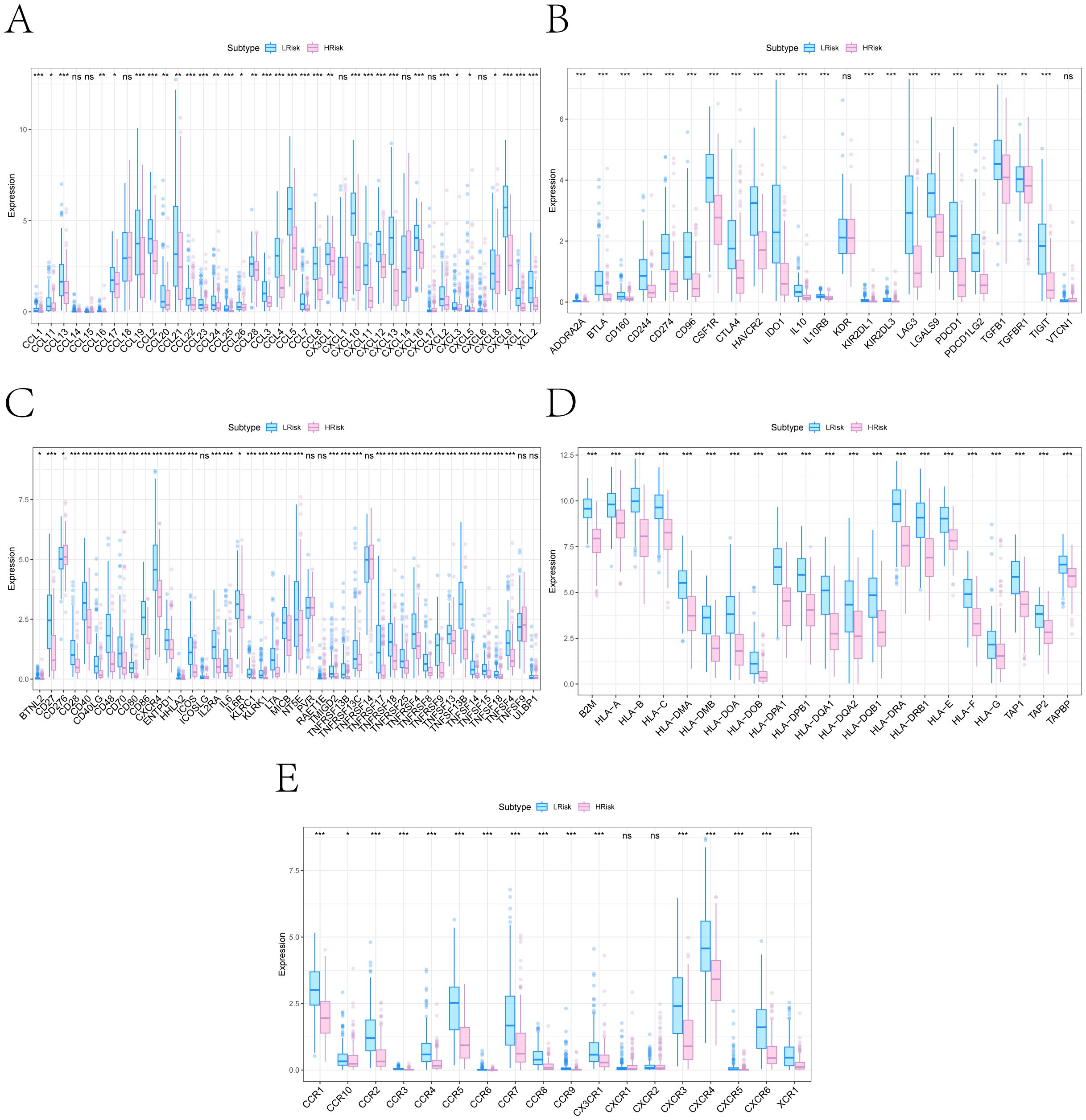 Five panels labeled A to E display box plots comparing gene expression levels across two subtypes, Ulcak and Hisak, depicted in blue and pink respectively. Each panel shows different sets of genes on the x-axis and expression levels on the y-axis, with some genes showing significant differences indicated by asterisks. Panel A depicts a wide range of genes; Panel B focuses on a smaller set; Panel C shows another diverse group; Panel D highlights higher expression levels; Panel E contains fewer genes. Statistical significance varies across the genes, as annotated above the plots.