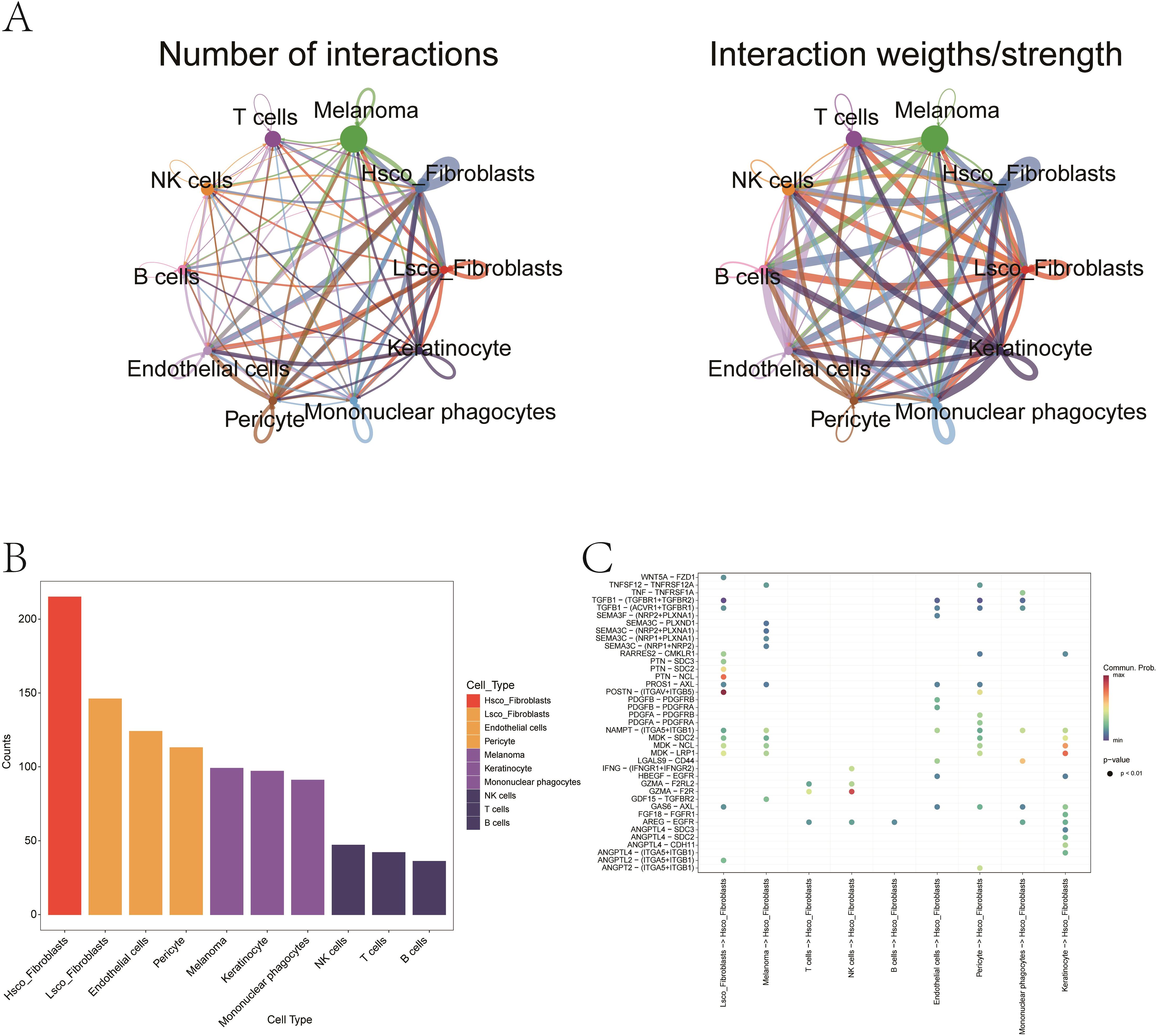 Diagram comparing cell interactions. Panel A shows two network graphs: one for the number of interactions and the other for interaction weights, connecting various cell types like melanoma, T cells, NK cells, and fibroblasts. Panel B is a bar chart displaying cell type counts, with Hsco_Fibroblasts showing the highest count. Panel C is a dot plot illustrating communication probabilities among different cell types with varying p-values represented by color.