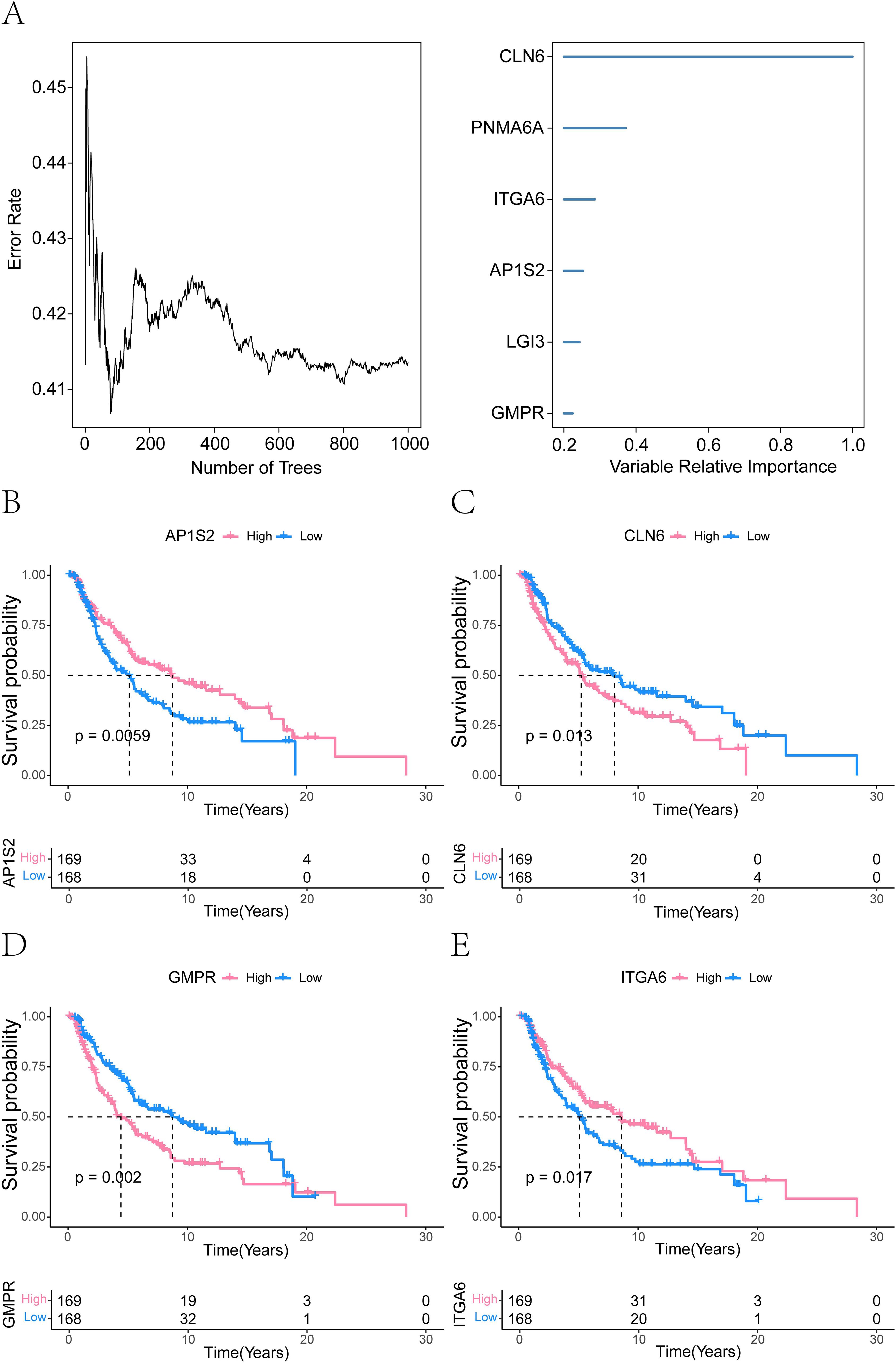 Panel A shows an error rate decreasing as the number of trees increases in a random forest model. Panel B to E display Kaplan-Meier survival curves comparing high and low expression groups for genes AP1S2, CLN6, GMPR, and ITGA6. Significant p-values indicate differences in survival probability over time between groups.