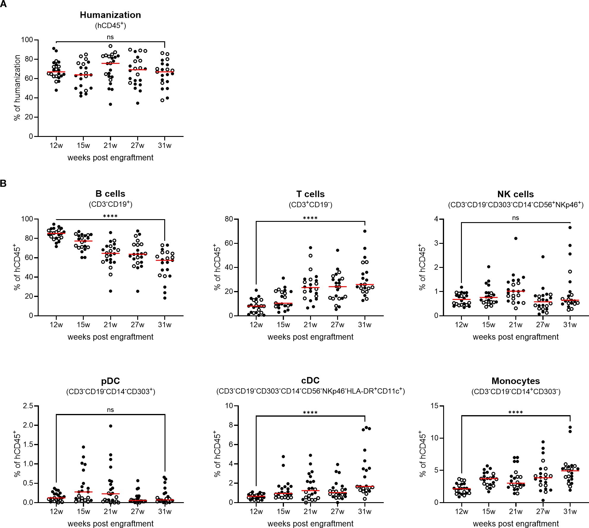 Graphs titled “Humanization” and “Immune Cell Percentages” show data over 12, 15, 21, 27, and 31 weeks. Graph A depicts humanization percentage marked as not significant (ns). Graph B presents percentages of B cells, T cells, NK cells, pDC, cDC, and Monocytes, with significant differences marked by asterisks (****) and not significant (ns) for NK cells and pDC.