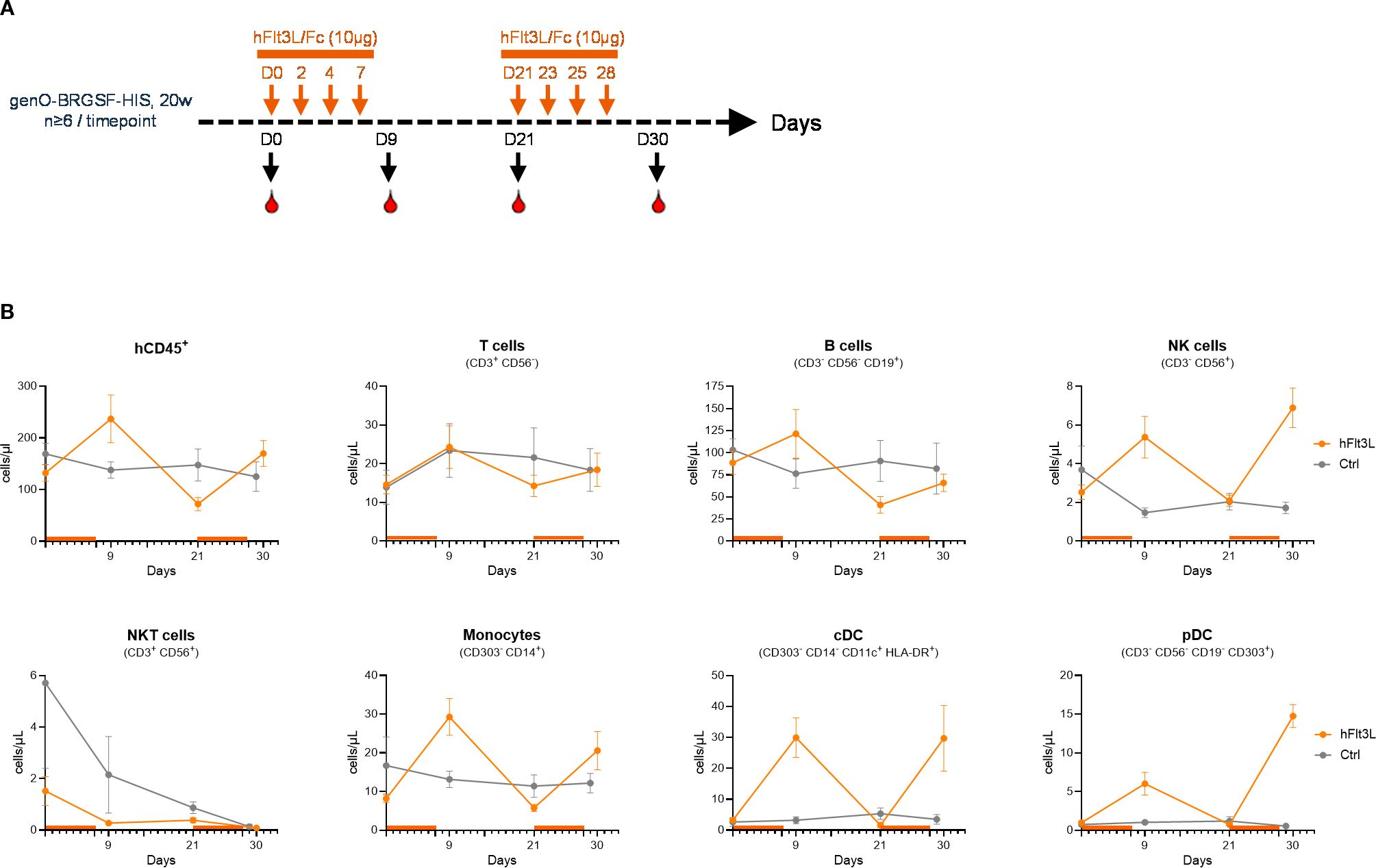 Diagram A shows a timeline of hFlt3L/Fc administration in mice at specified days, with samplings on days 0, 9, 21, and 30. Graphs in panel B display cell counts of different immune cells over time comparing hFlt3L (orange line) and control (gray line) groups. Cell types include hCD45+, T cells, B cells, NK cells, NKT cells, Monocytes, cDC, and pDC, each with specific markers and varying patterns.
