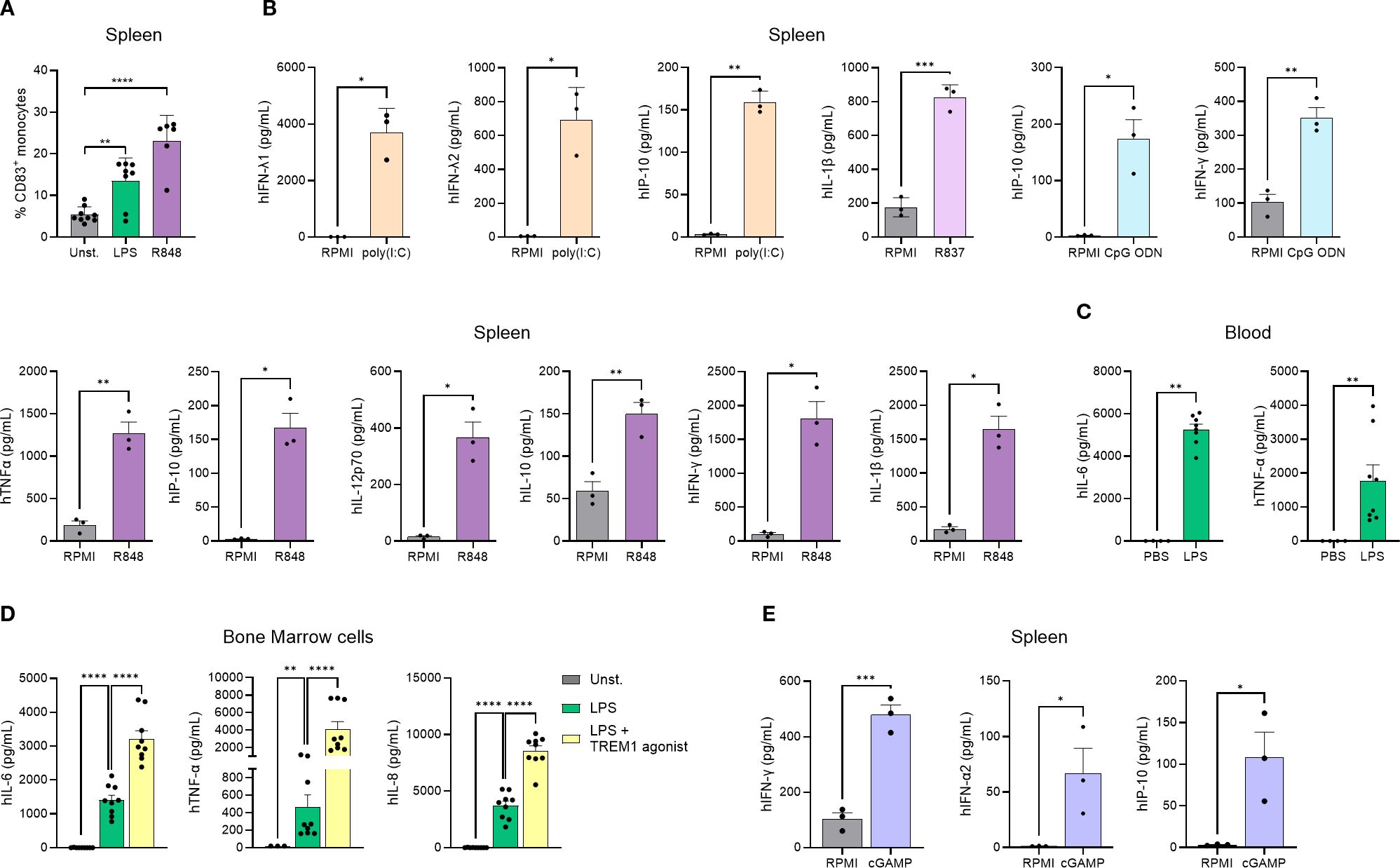 Graphs depicting cytokine in response to various treatments in spleen, blood, and bone marrow cells. Panels A-E show bar charts with standard error, detailing treatments like LPS, R848, poly(I:C), R837, and cGAMP, with statistically significant differences indicated by asterisks.