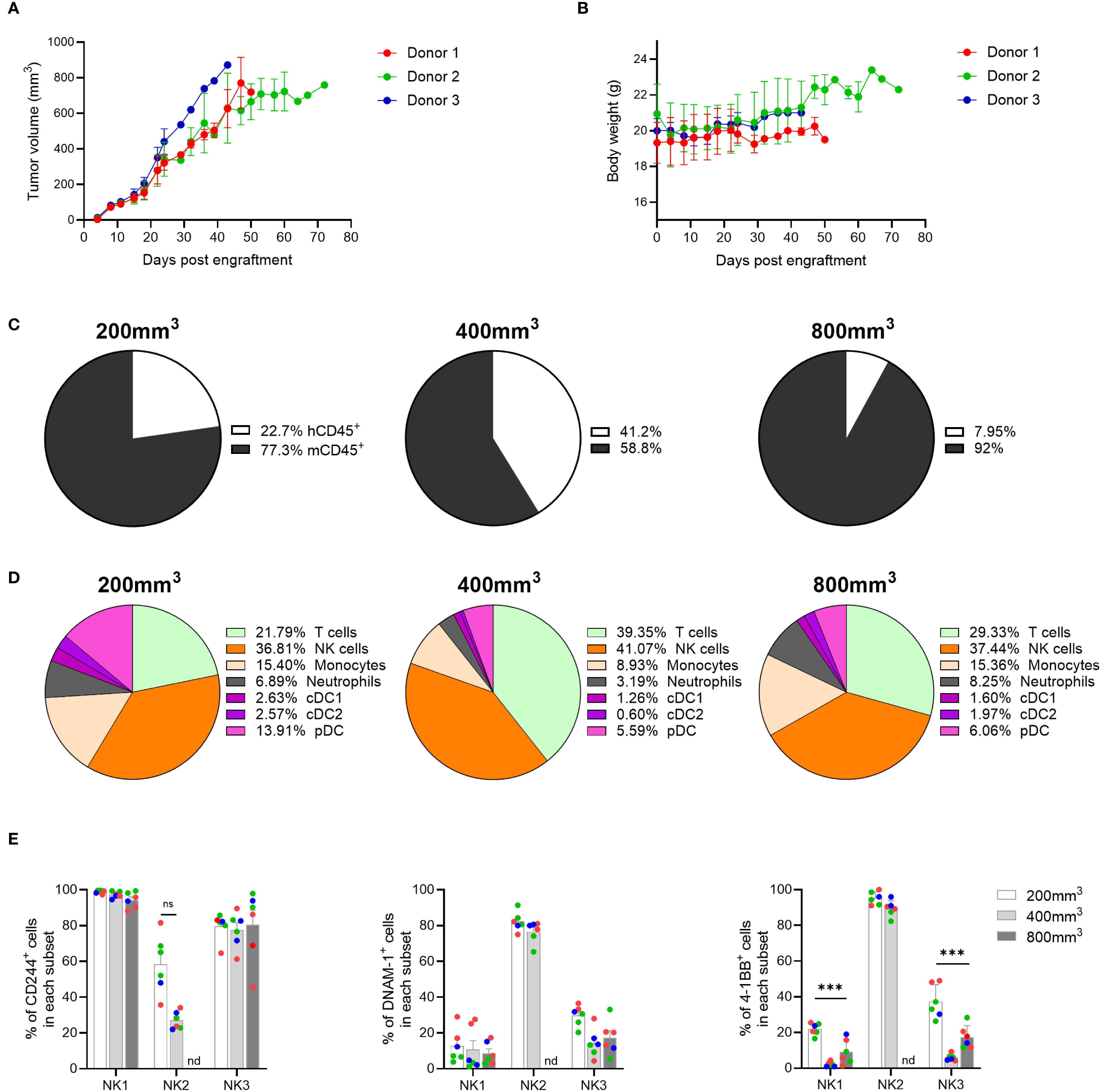 Graphs and charts illustrate data from three donors. Graph A shows tumor volume increase over 80 days post-engraftment. Graph B shows body weight changes over the same period. Pie charts C show cell composition in different tumor volumes, with varying percentages for hCD45 and mCD45. Pie charts D detail the immune cell distributions, including T cells and NK cells, for each tumor volume. Bar charts E compare percentages of CD244+, DNAM-1+, and 4-1BB cells across tumor volumes, with statistical significance indicated.