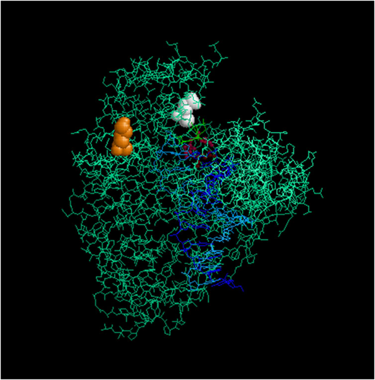 A complex network of molecular structures with cyan lines forming a web-like pattern. Two prominent clusters, one orange and one white, are visible. The background is black.