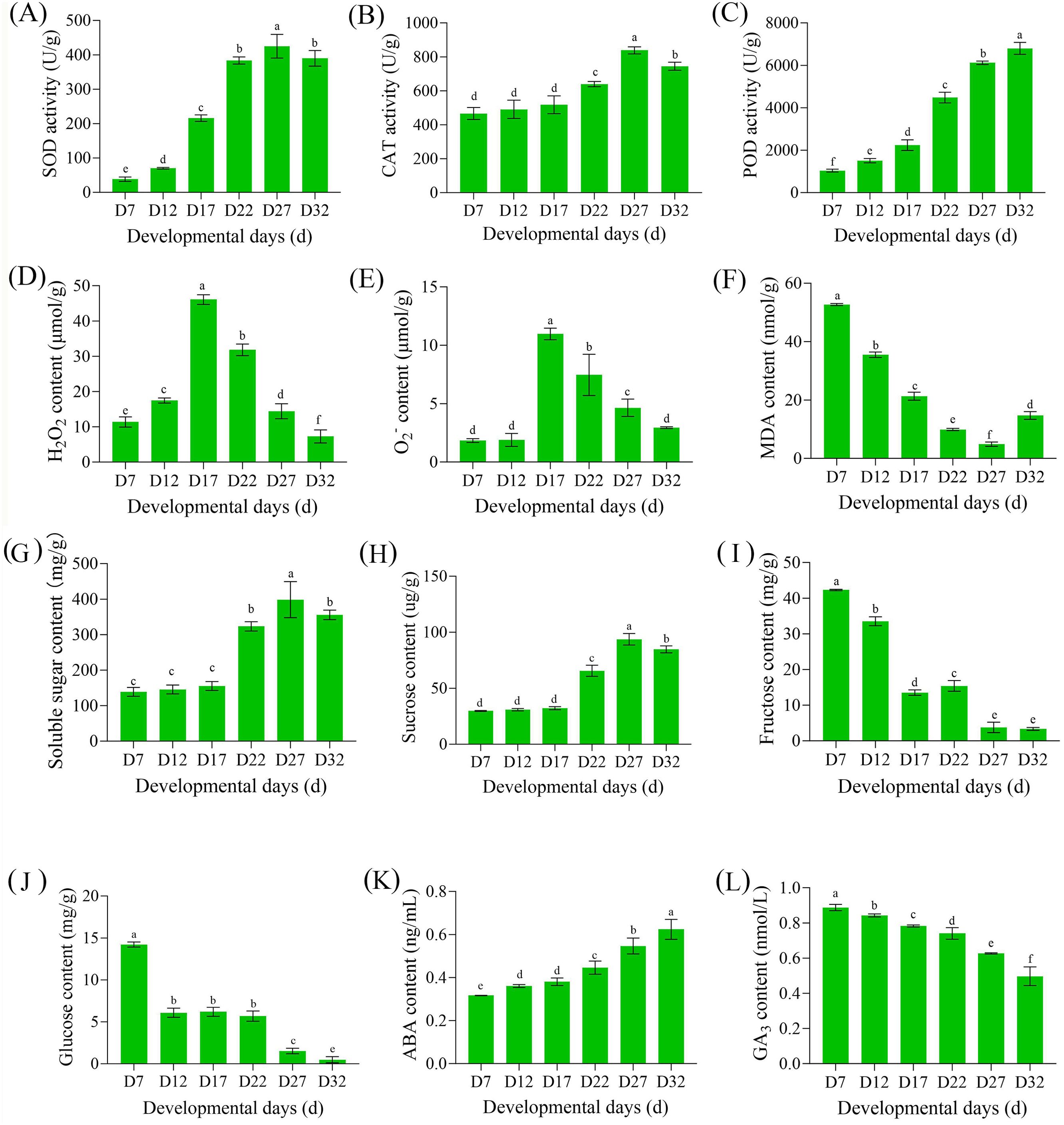 Bar graphs labeled A to P show various biochemical parameters over developmental days (D7 to D32). Each graph depicts different activities or content, such as SOD, CAT, and POD activity, H2O2, O2ˉ, MDA, soluble sugar, sucrose, fructose, glucose content, ABA, and GA3 content. Bars are green, with differences in height indicating variations over time, and annotated letters indicate statistical differences.